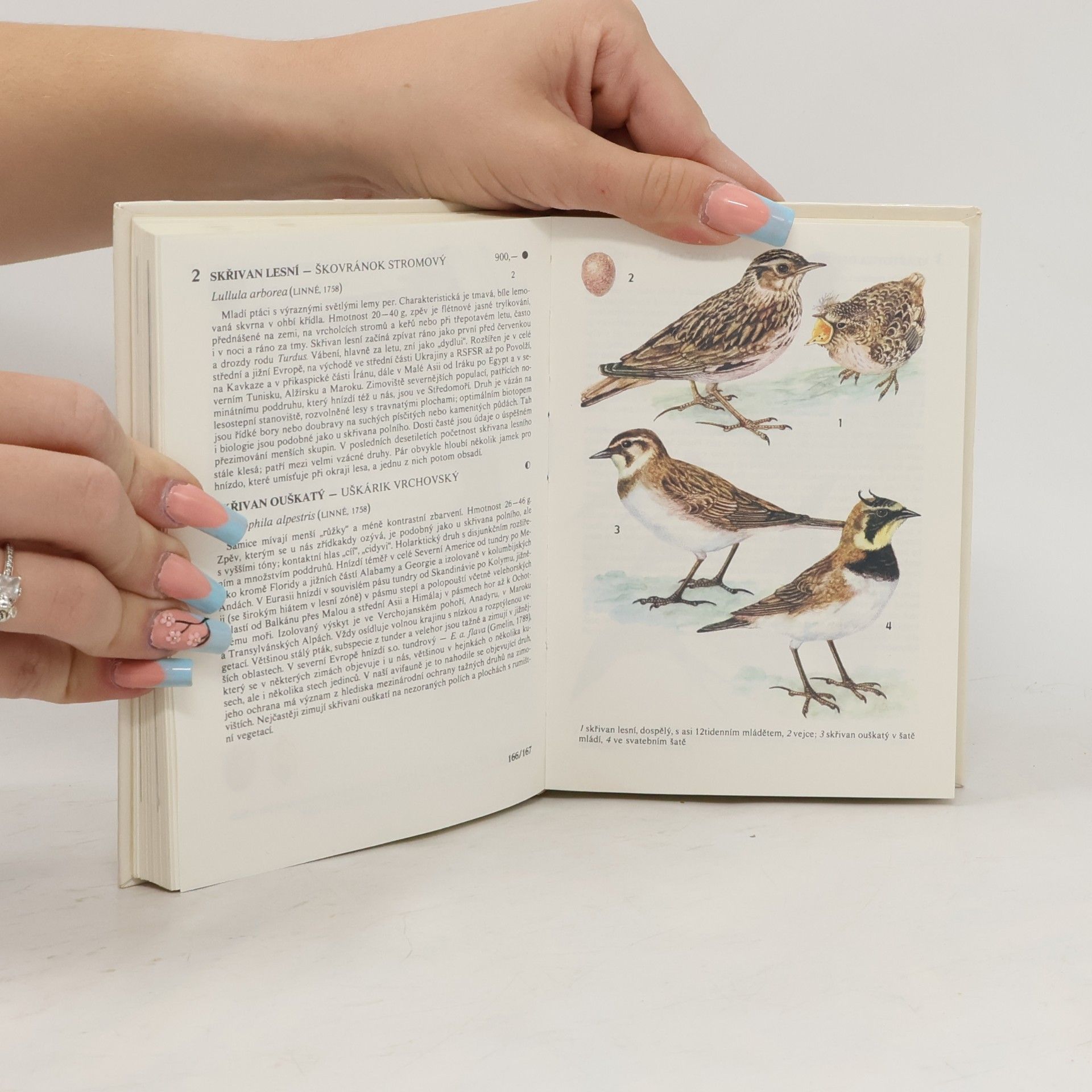 Autorenkollektiv Kapesní atlas chráněných a ohrožených živočichů 3. díl