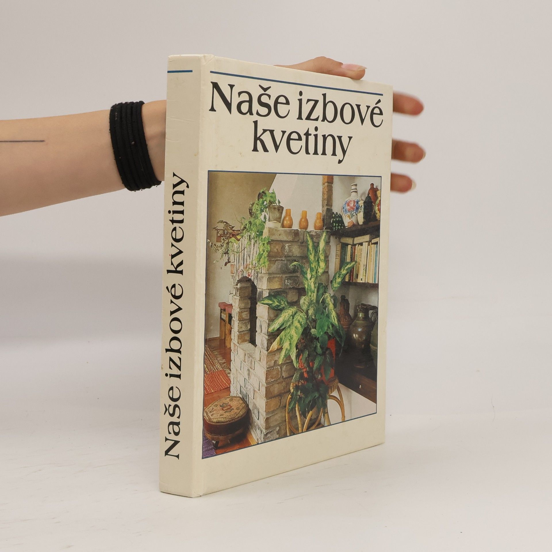 Lajos Lelkes Naše izbové kvetiny