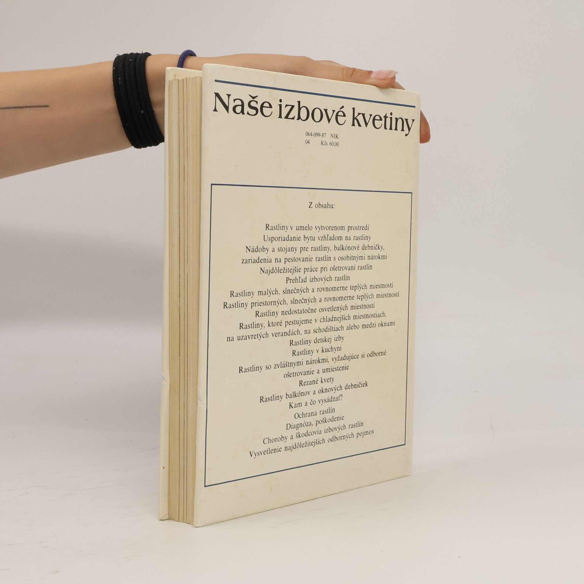 Lajos Lelkes Naše izbové kvetiny