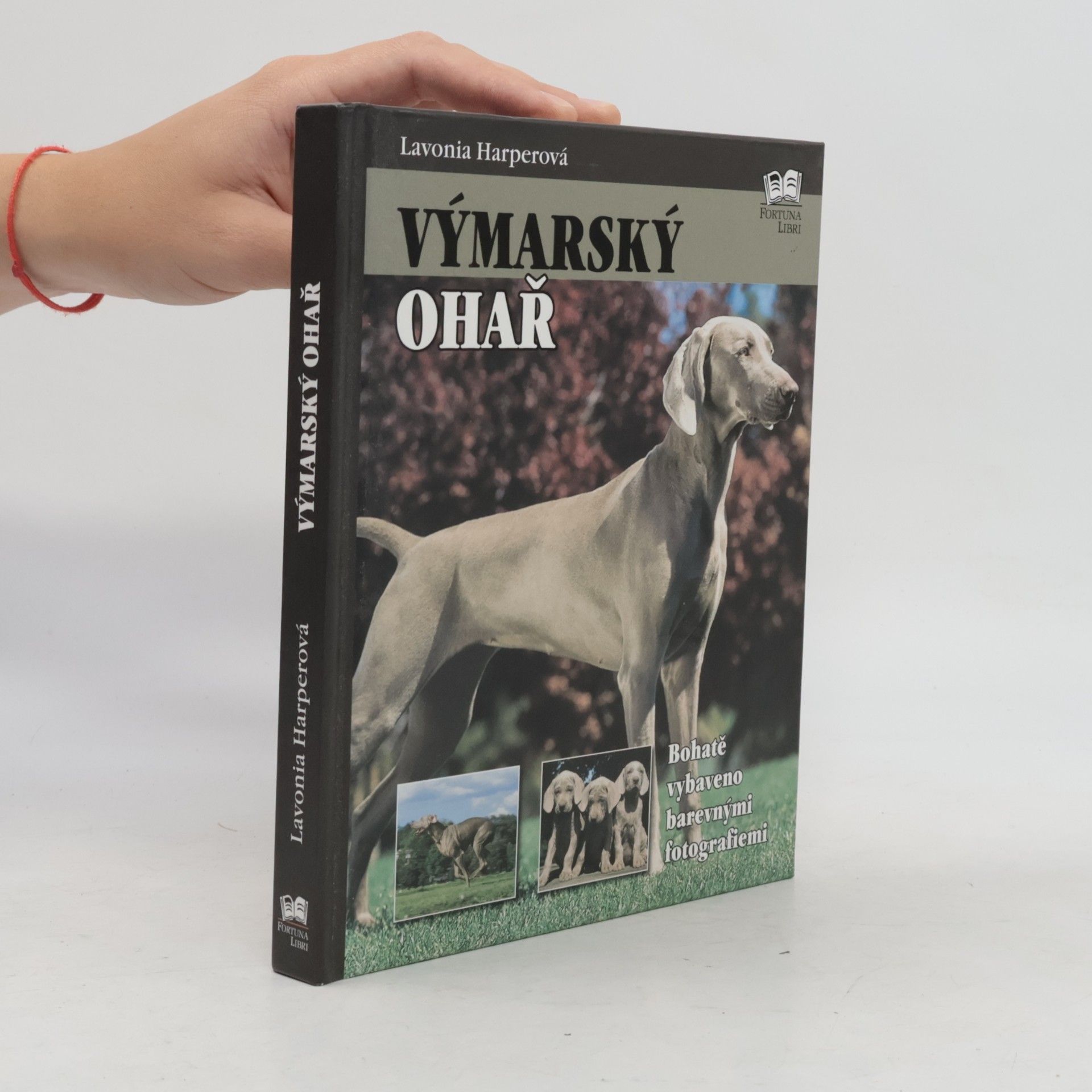 Lavonia Harper Výmarský ohař