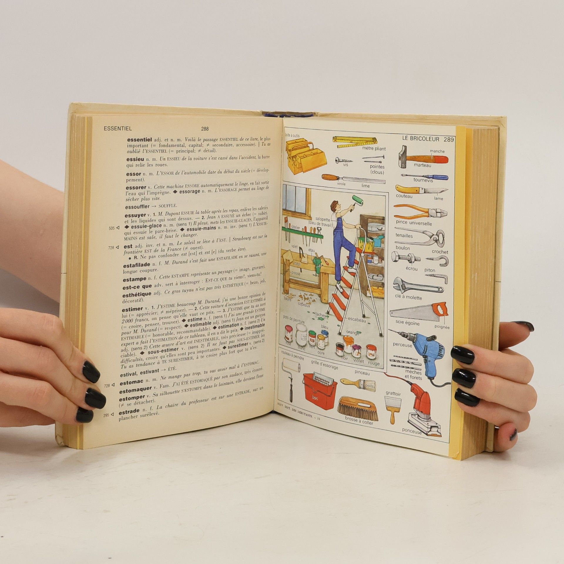 Autorenkollektiv Nouveau Larousse des débutants