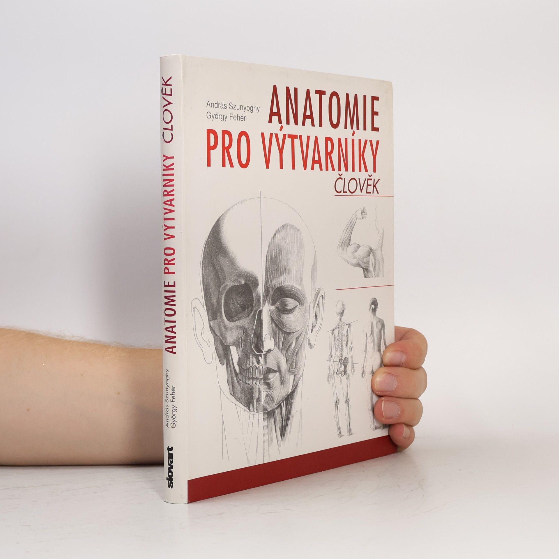 Anatomie pro výtvarníky. Člověk