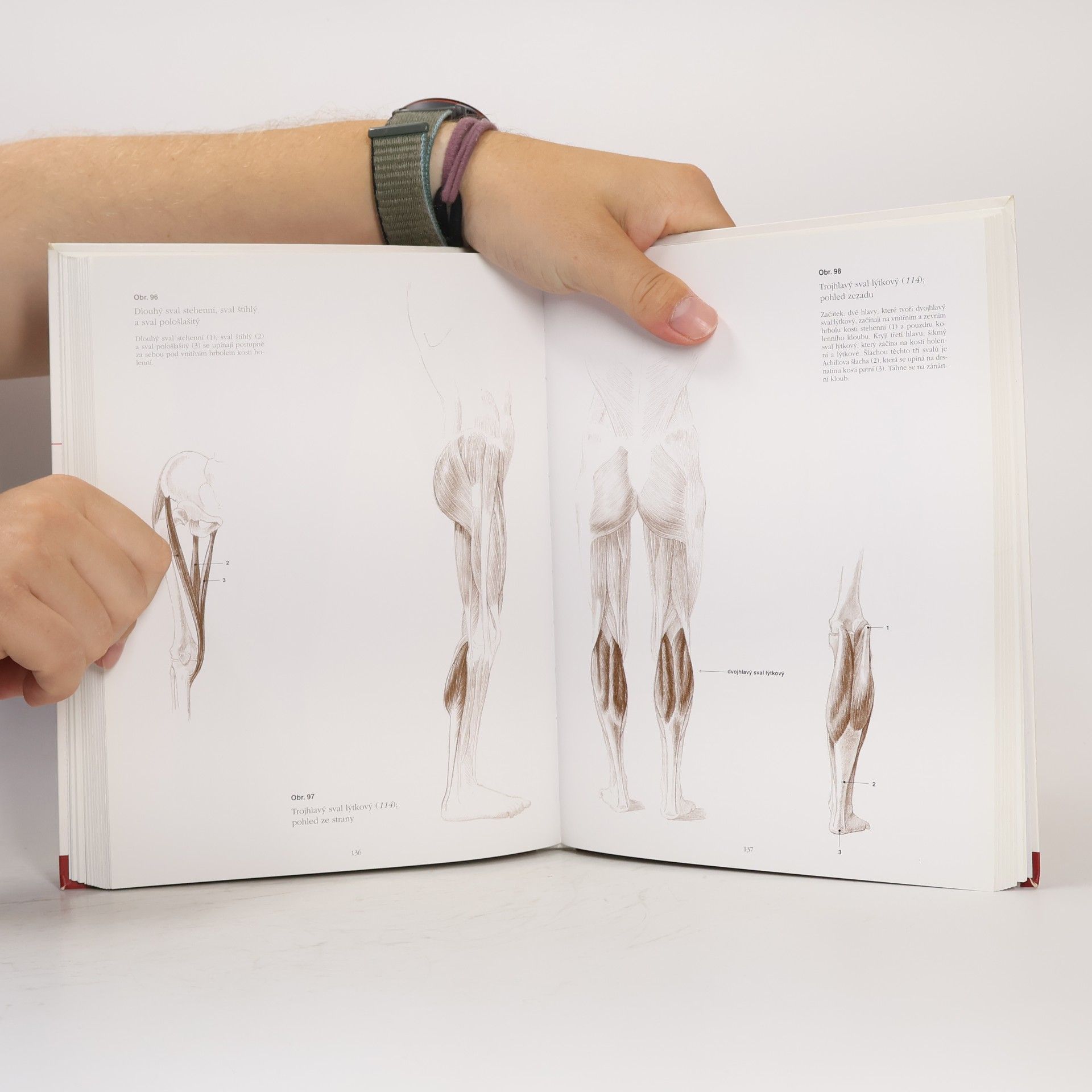 András Szunyoghy Anatomie pro výtvarníky. Člověk