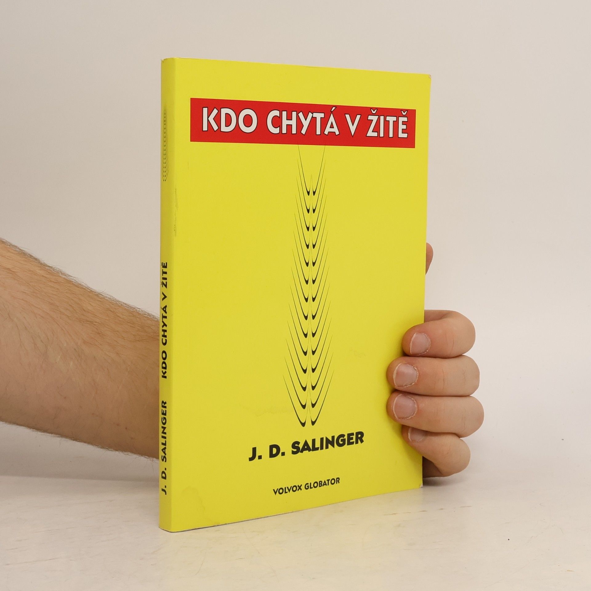 Jerome David Salinger Kdo chytá v žitě