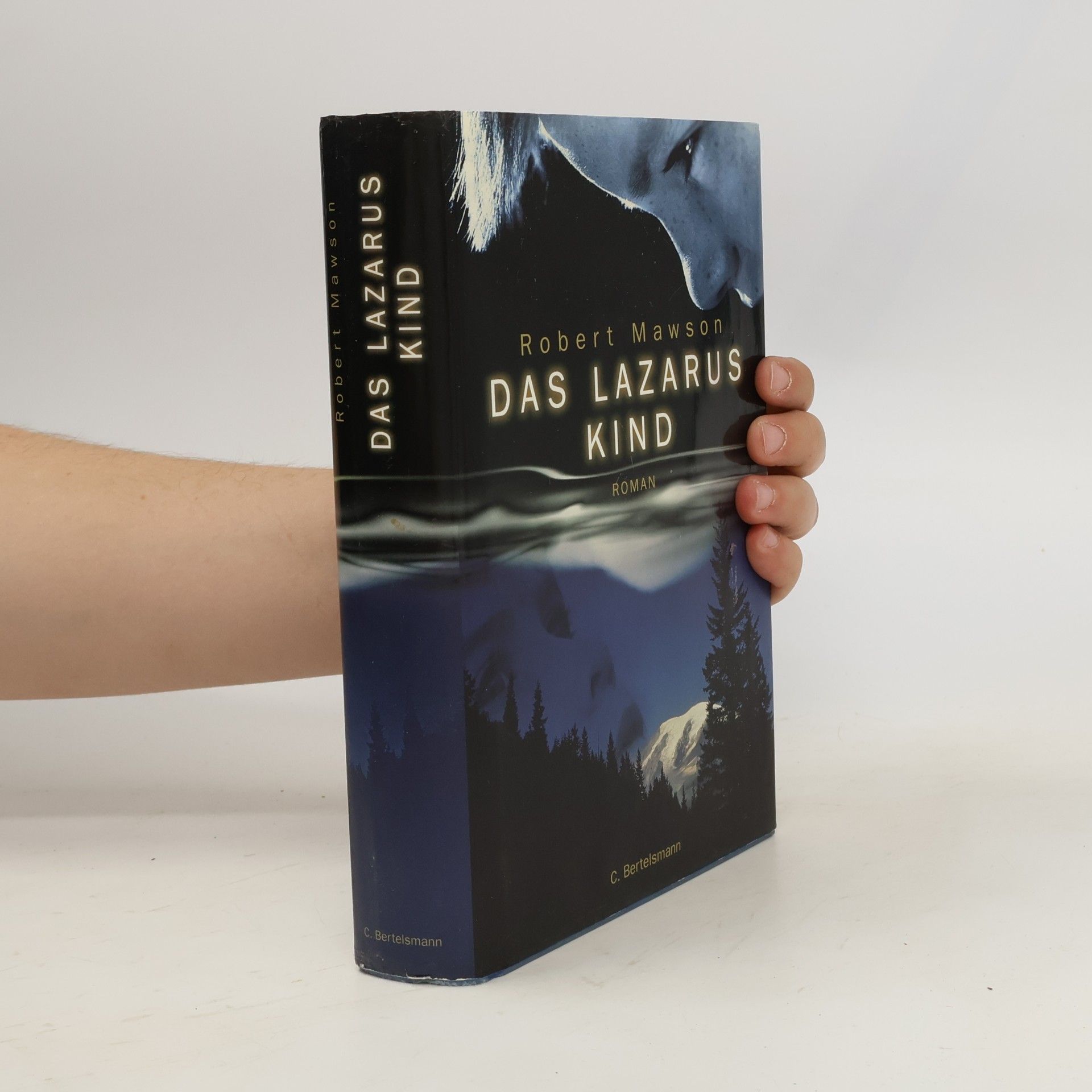 Robert Mawson Das Lazarus-Kind