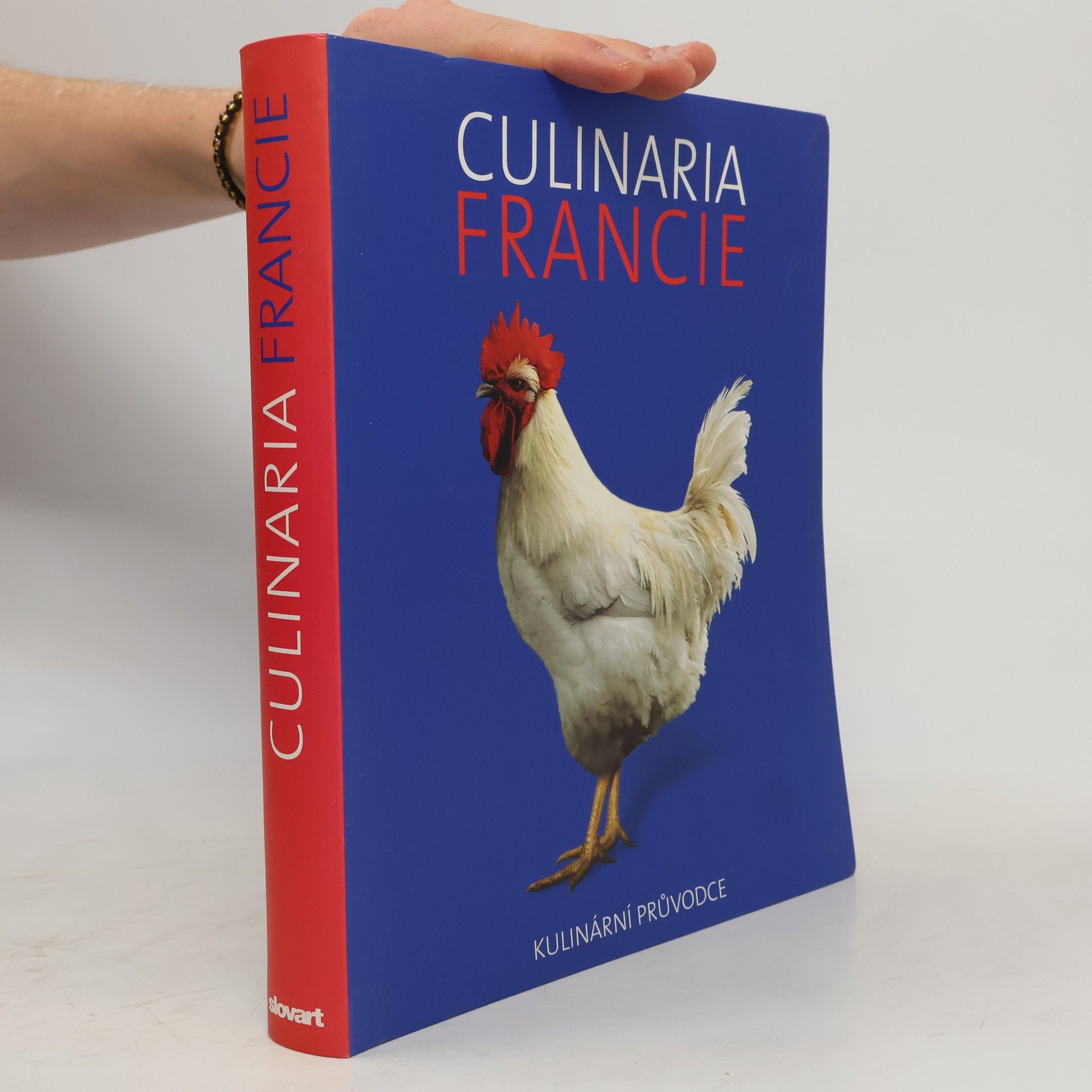 André Dominé Culinaria Francie