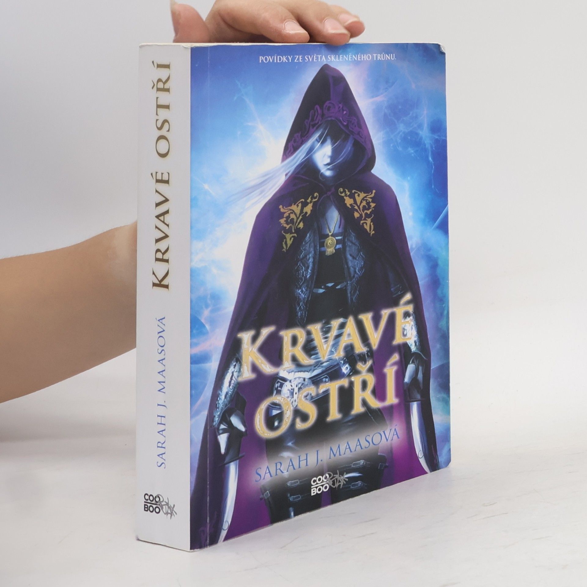 Sarah J. Maas Krvavé ostří