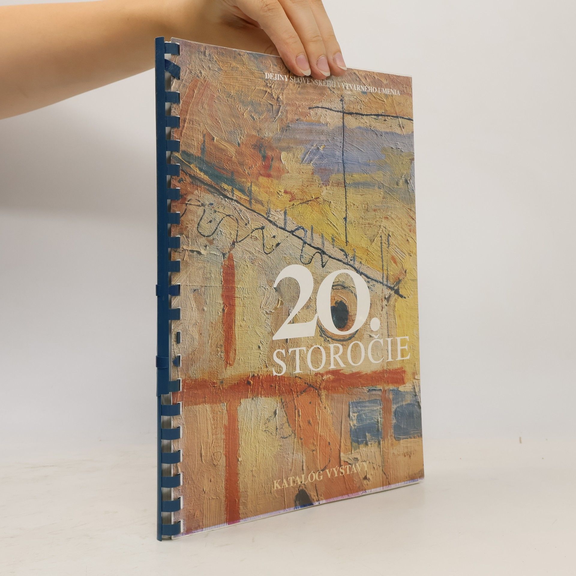 Dejiny slovenského výtvarného umenia: 20. storočie