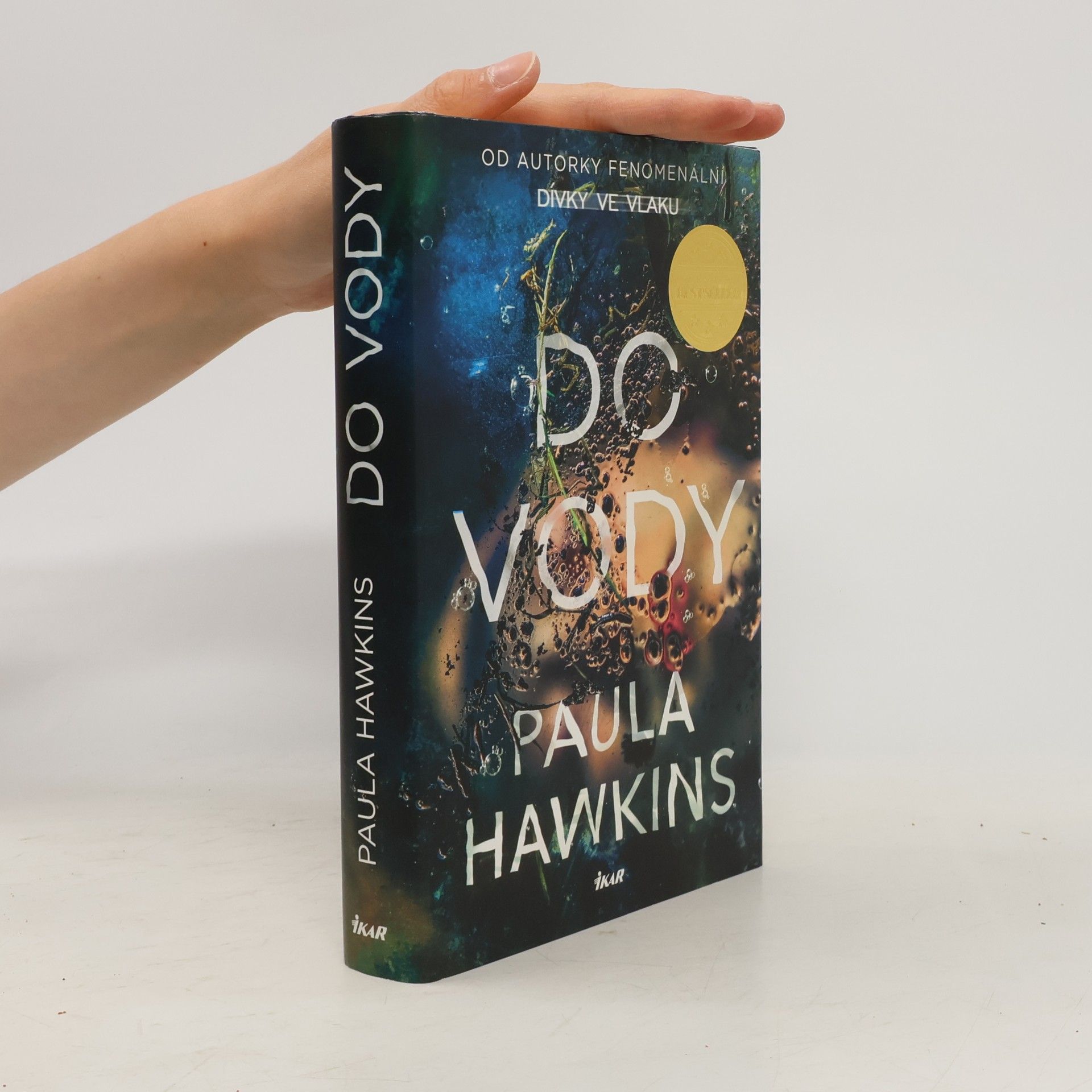 Paula Hawkins Do vody