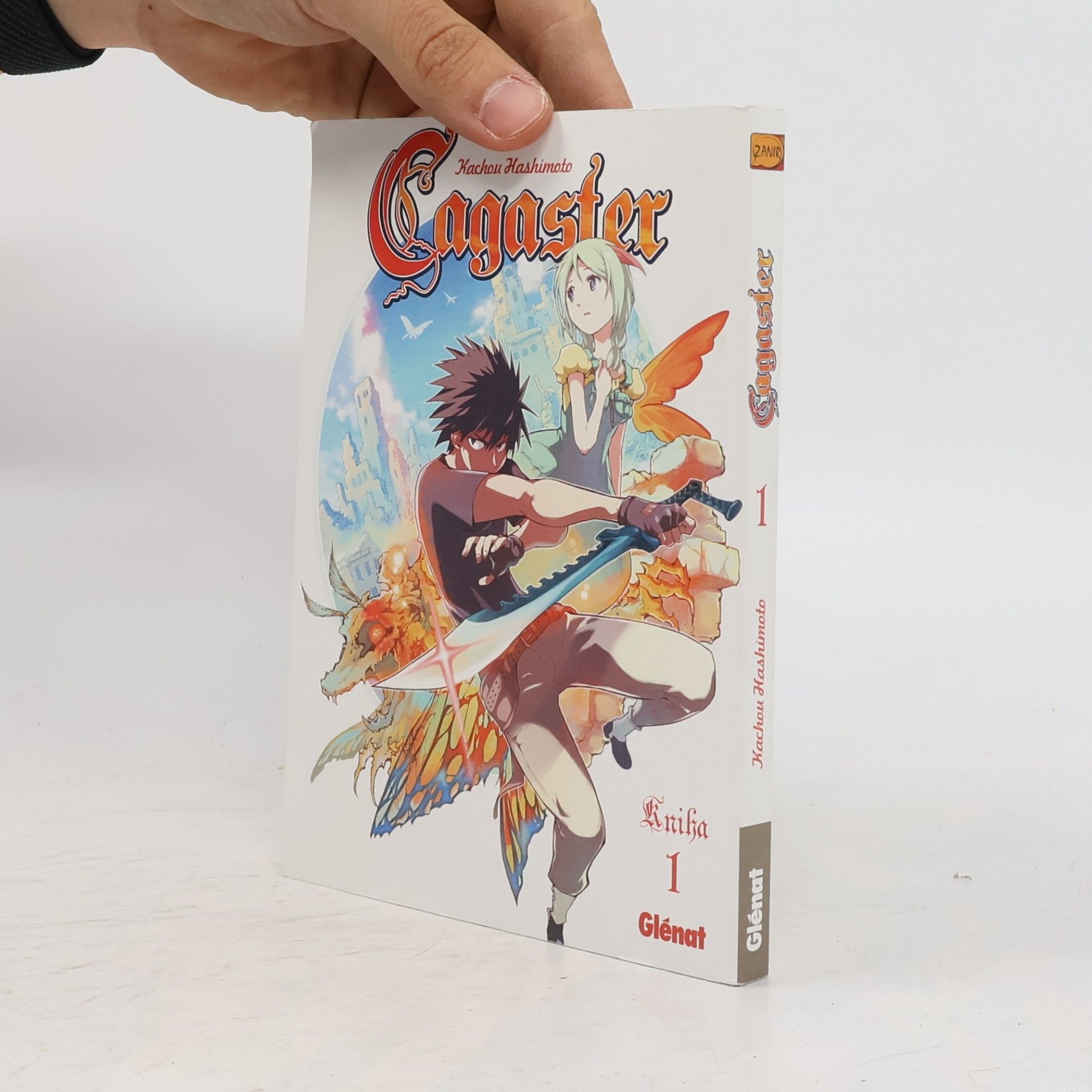 Kachou Hashimoto Cagaster 1