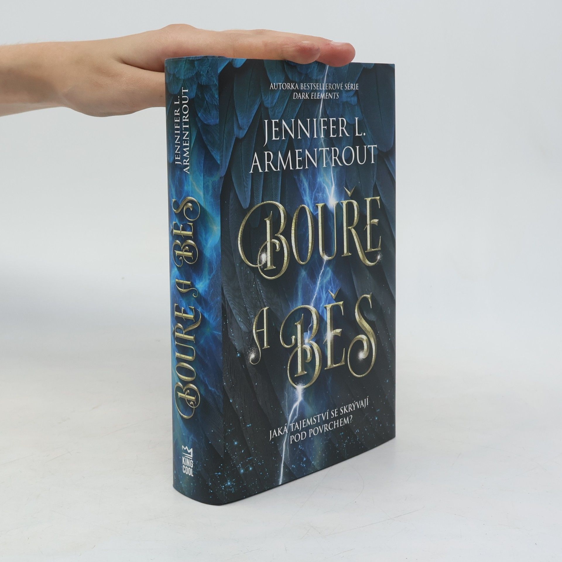 Jennifer L. Armentrout Bouře a běs