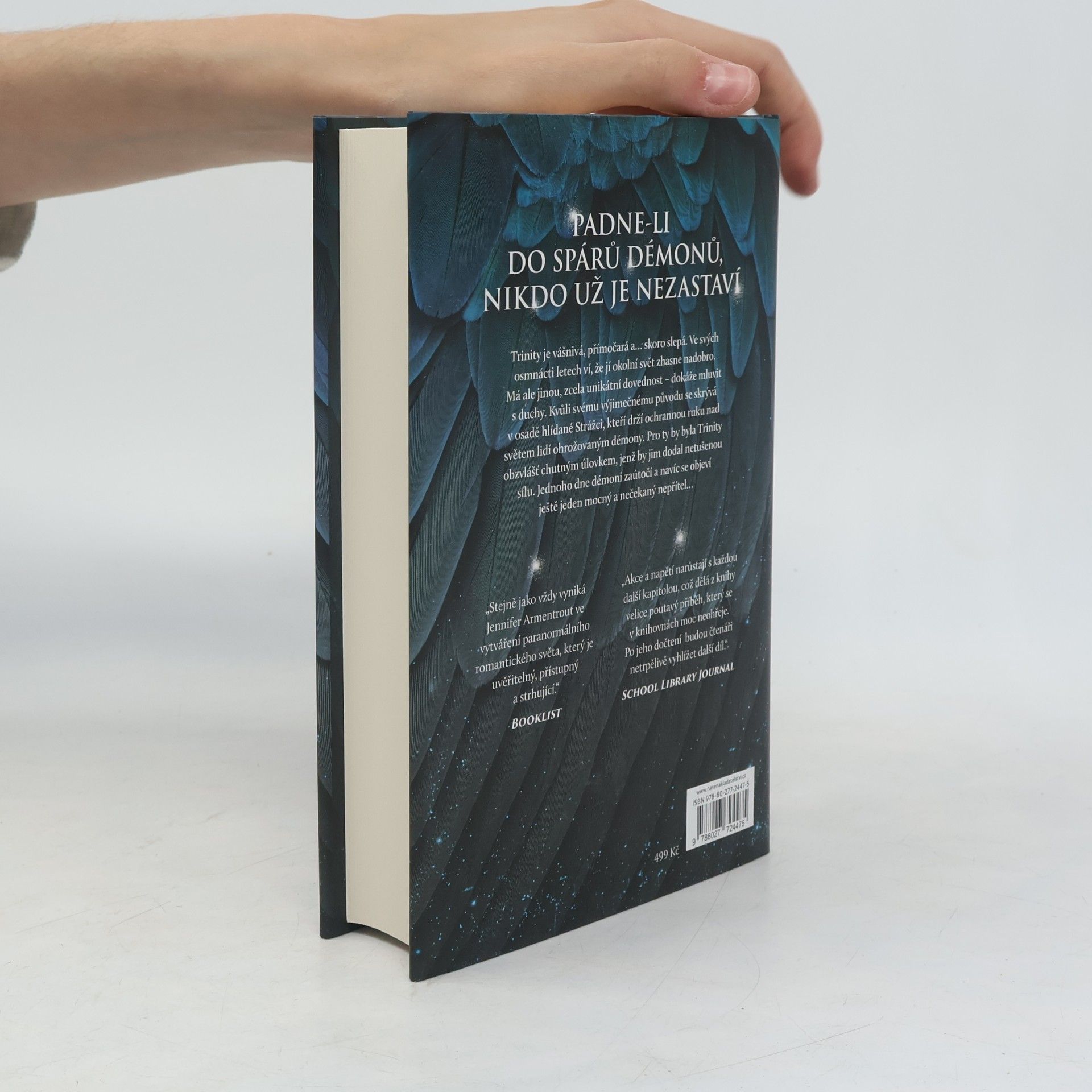 Jennifer L. Armentrout Bouře a běs