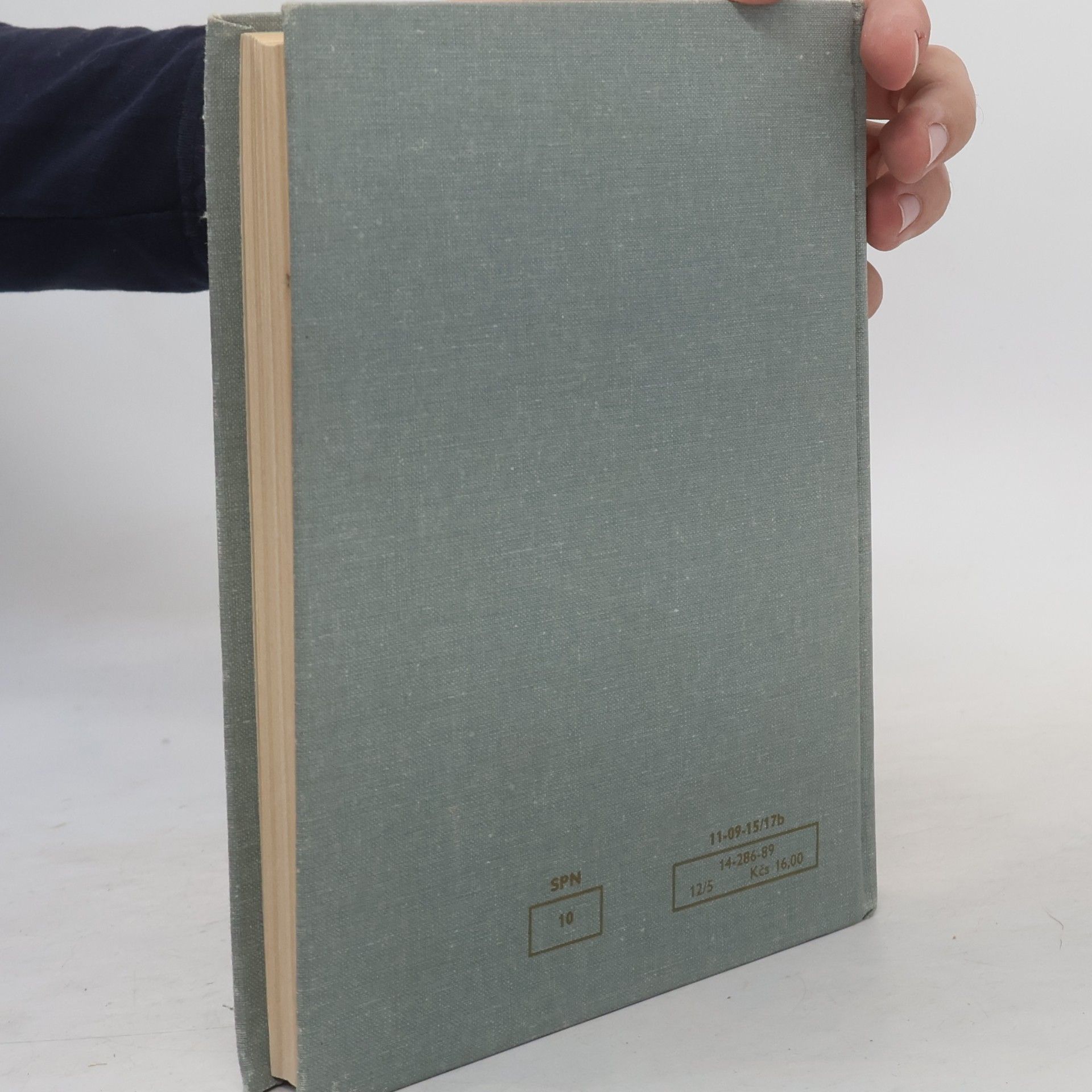 Various authors Pravidla českého pravopisu