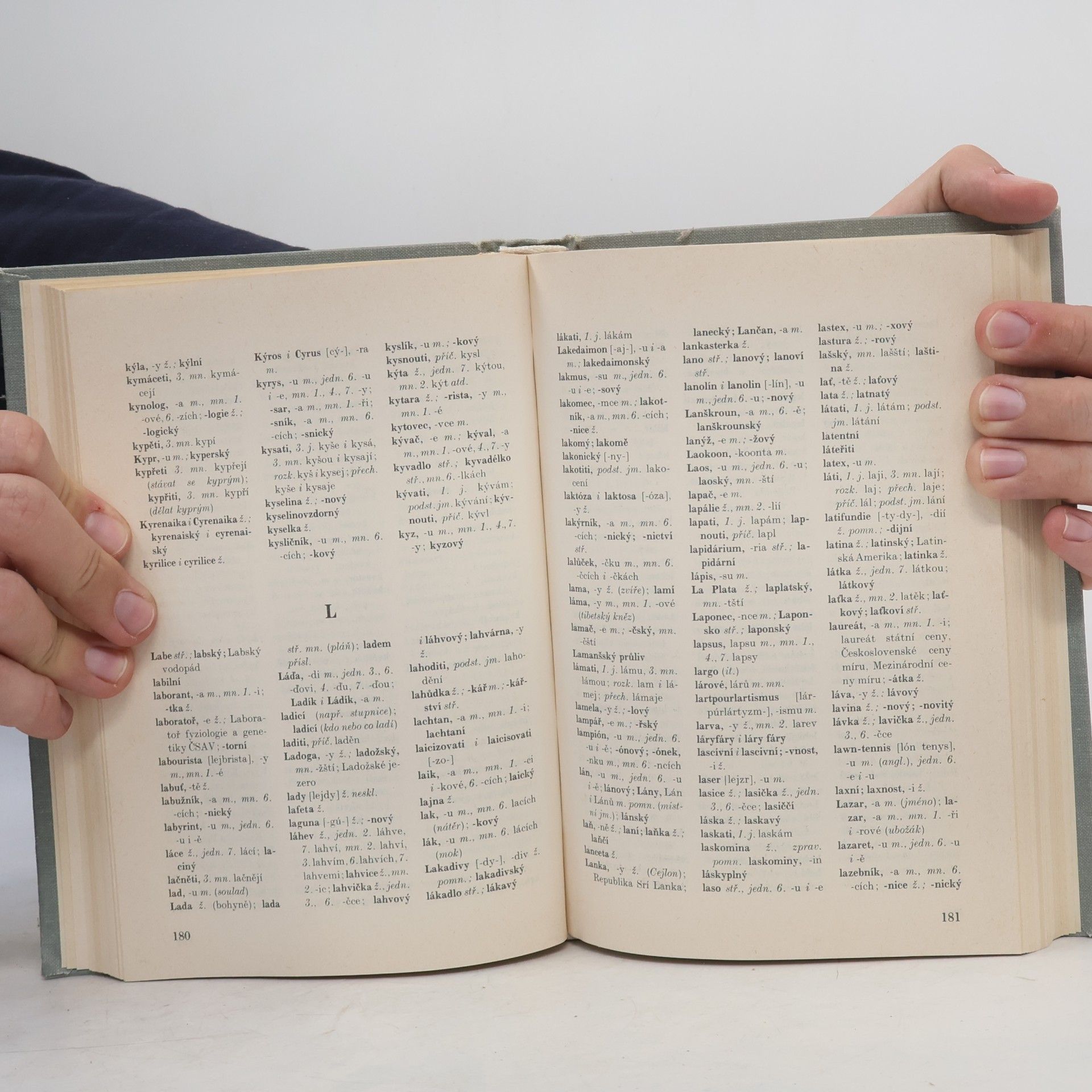 Various authors Pravidla českého pravopisu