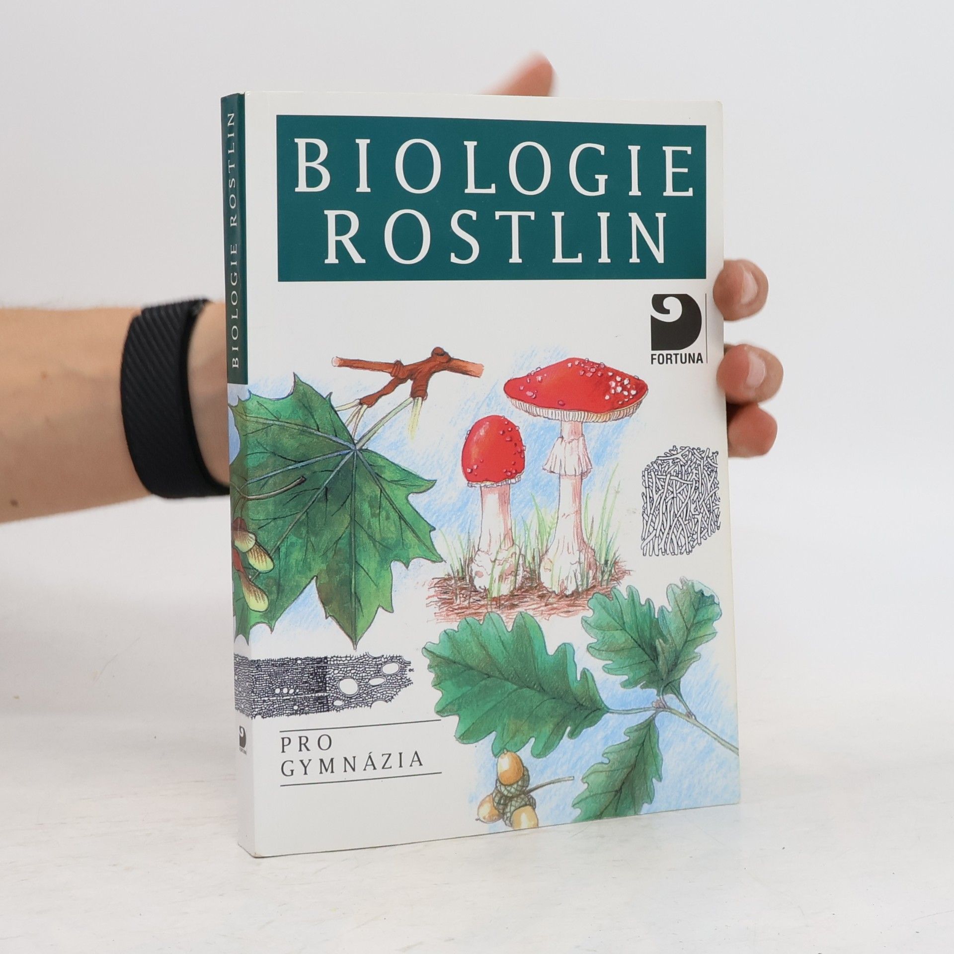 Biologie rostlin: Pro 1. ročník gymnázií