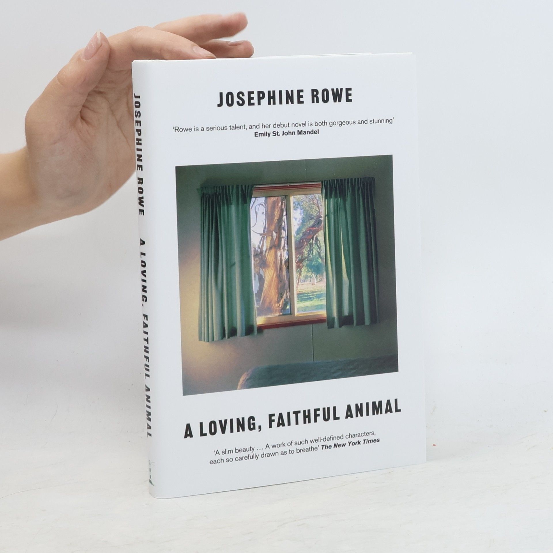 Josephine Rowe A Loving, Faithful Animal