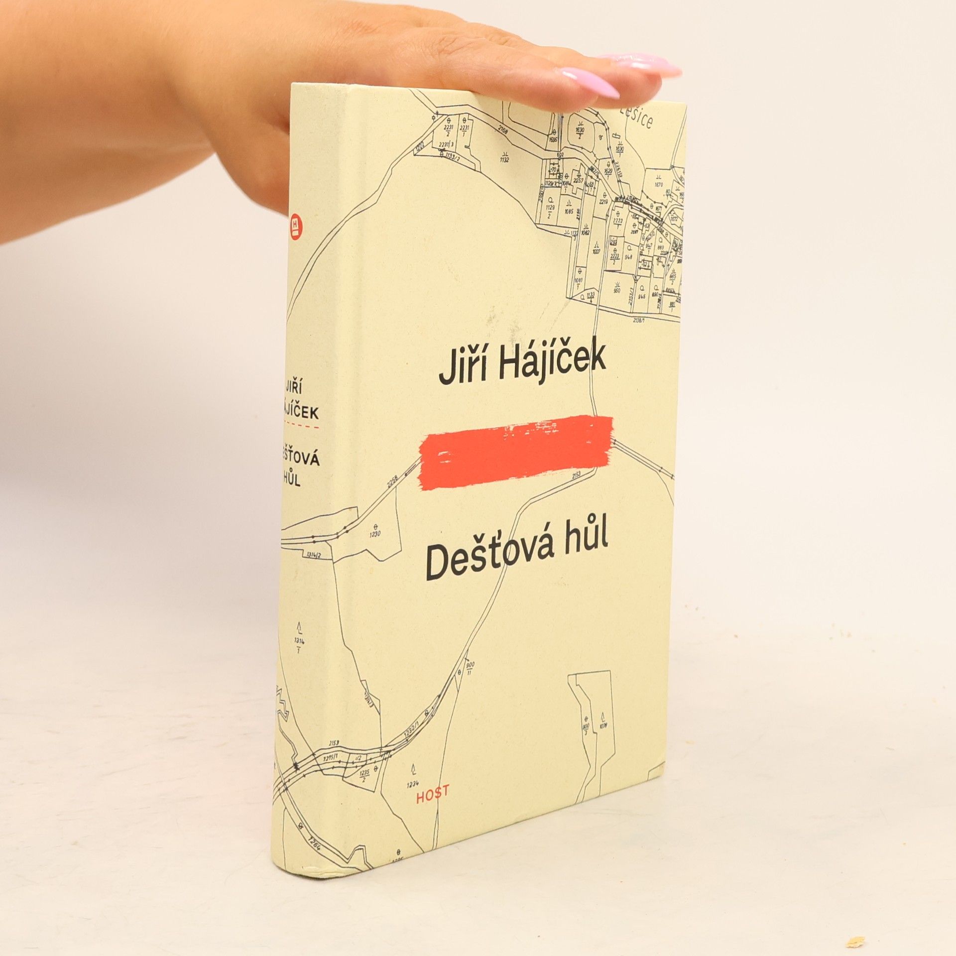Jiří Hájíček Dešťová hůl