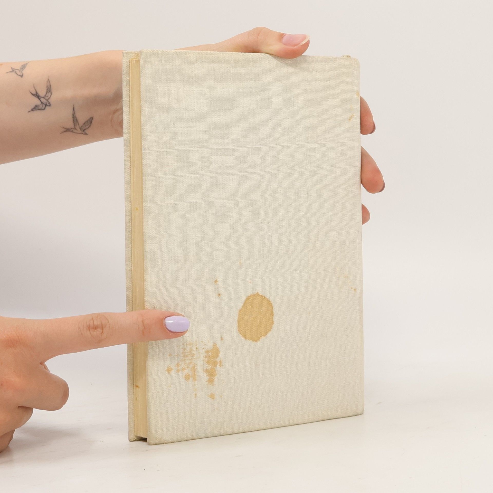 J. D. Salinger Kto chytá v žite
