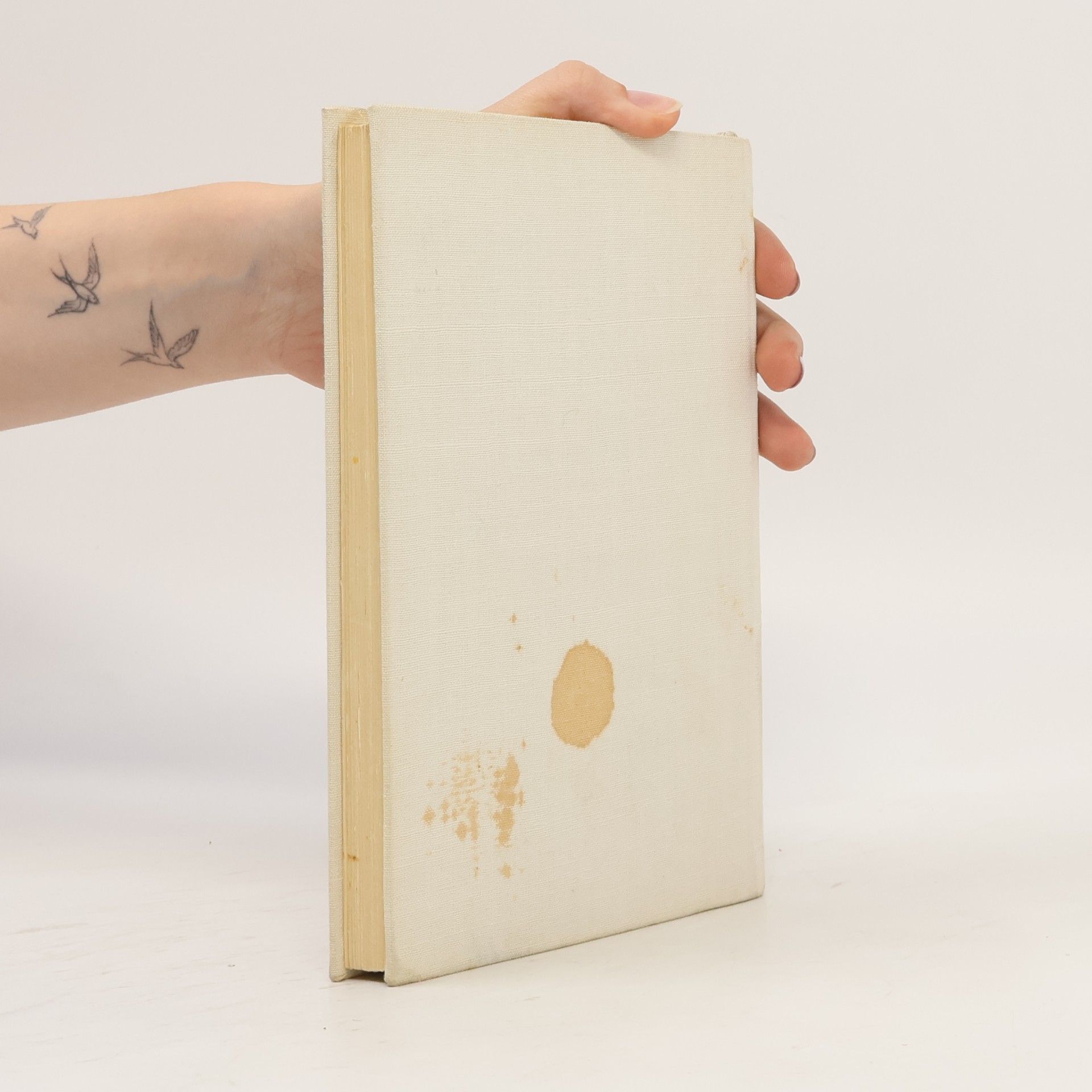 J. D. Salinger Kto chytá v žite