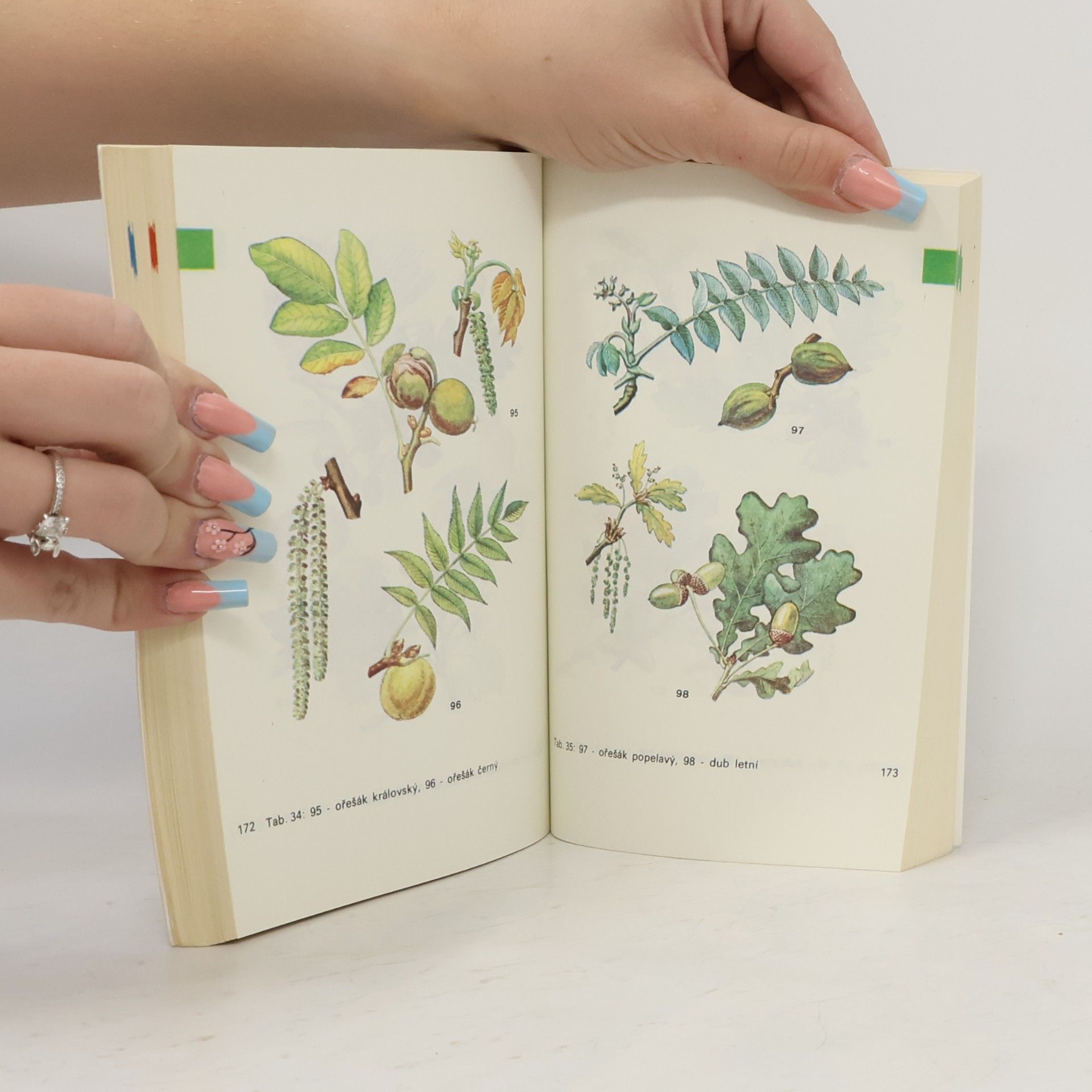 Přemysl Vanke Plody planých a parkových rostlin : kapesní atlas : pomocná kniha pro biologické zájmové kroužky na školách, v Domech pionýrů a