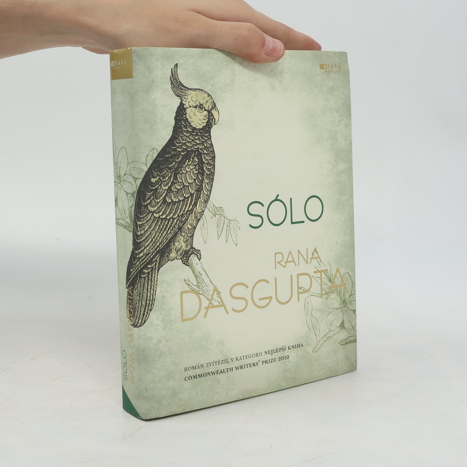 Rana Dasgupta Sólo