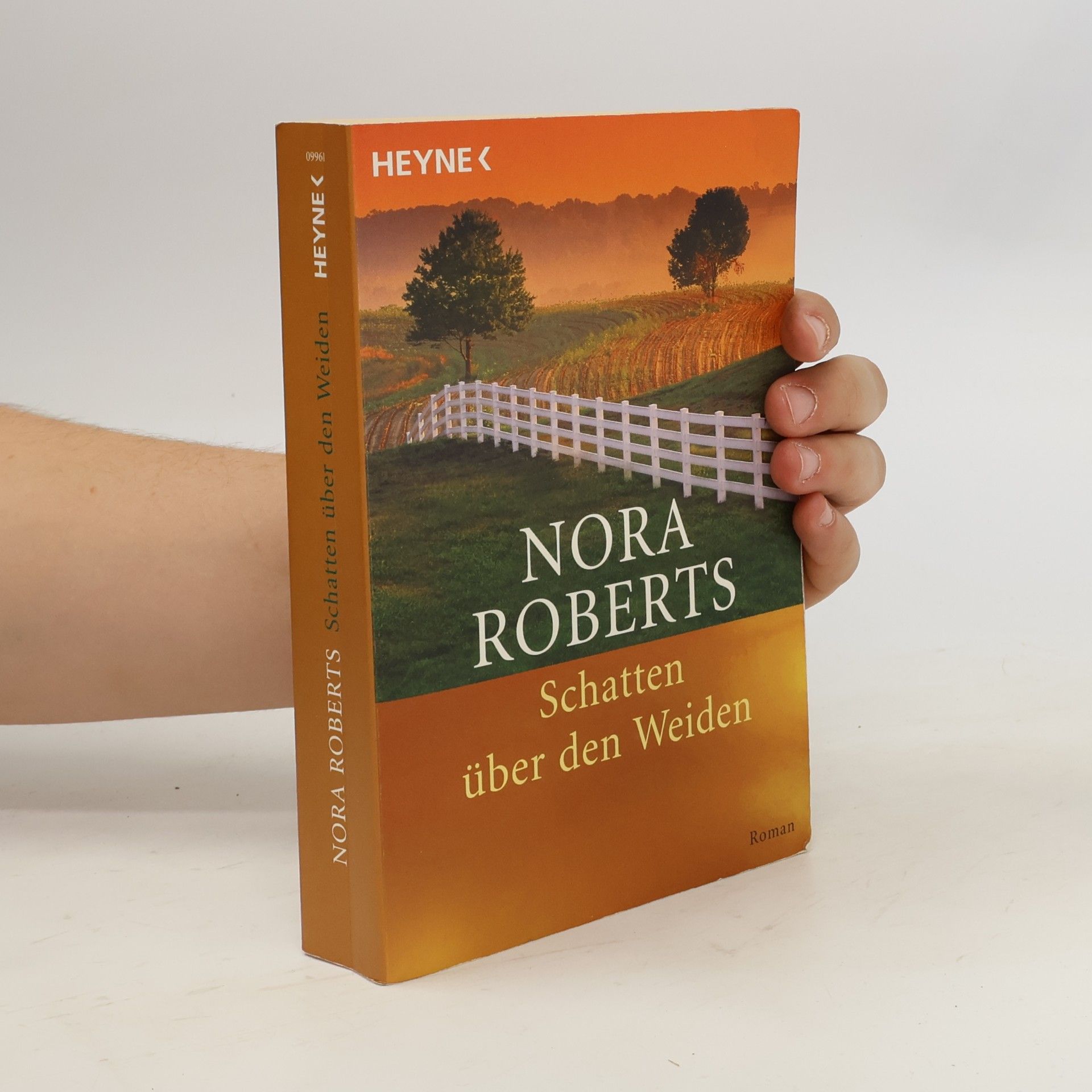 Nora Roberts Schatten über den Weiden