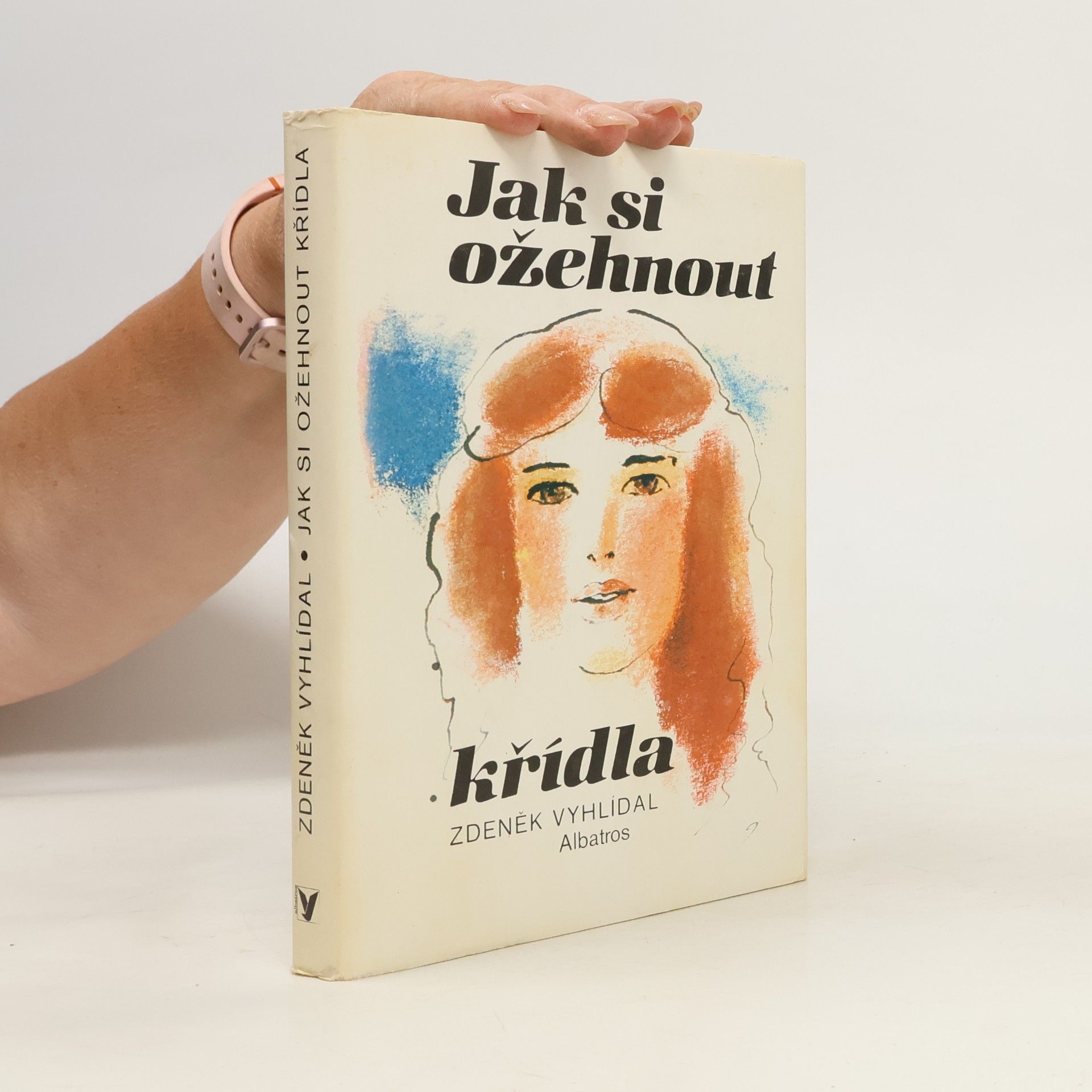Zdeněk Vyhlídal Jak si ožehnout křídla