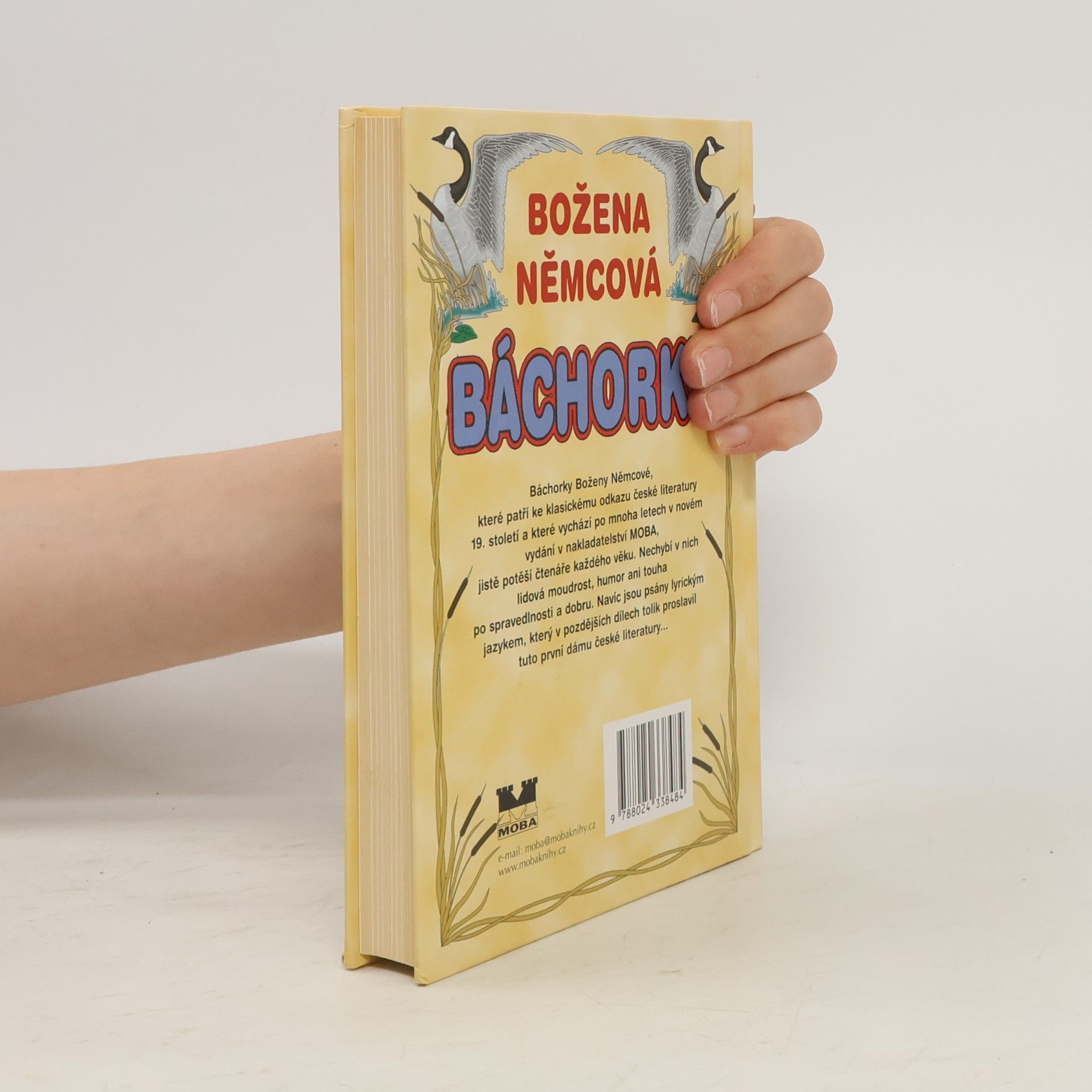 Božena Němcová Báchorky