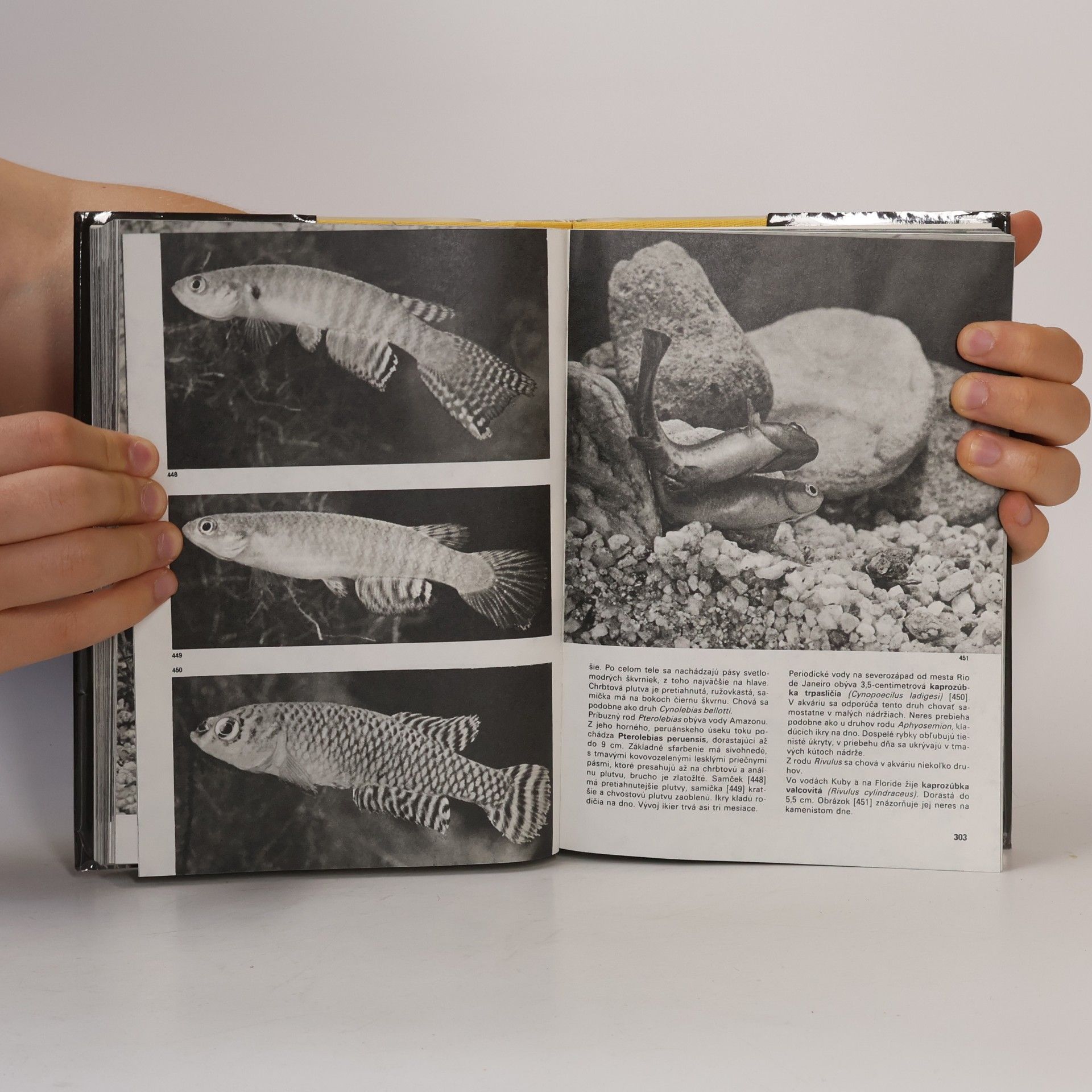Stanislav Frank Veľký obrazový atlas rýb