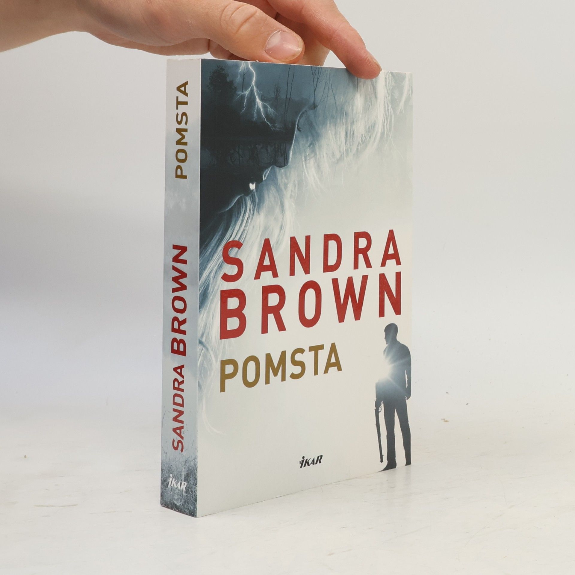 Sandra Brown Pomsta