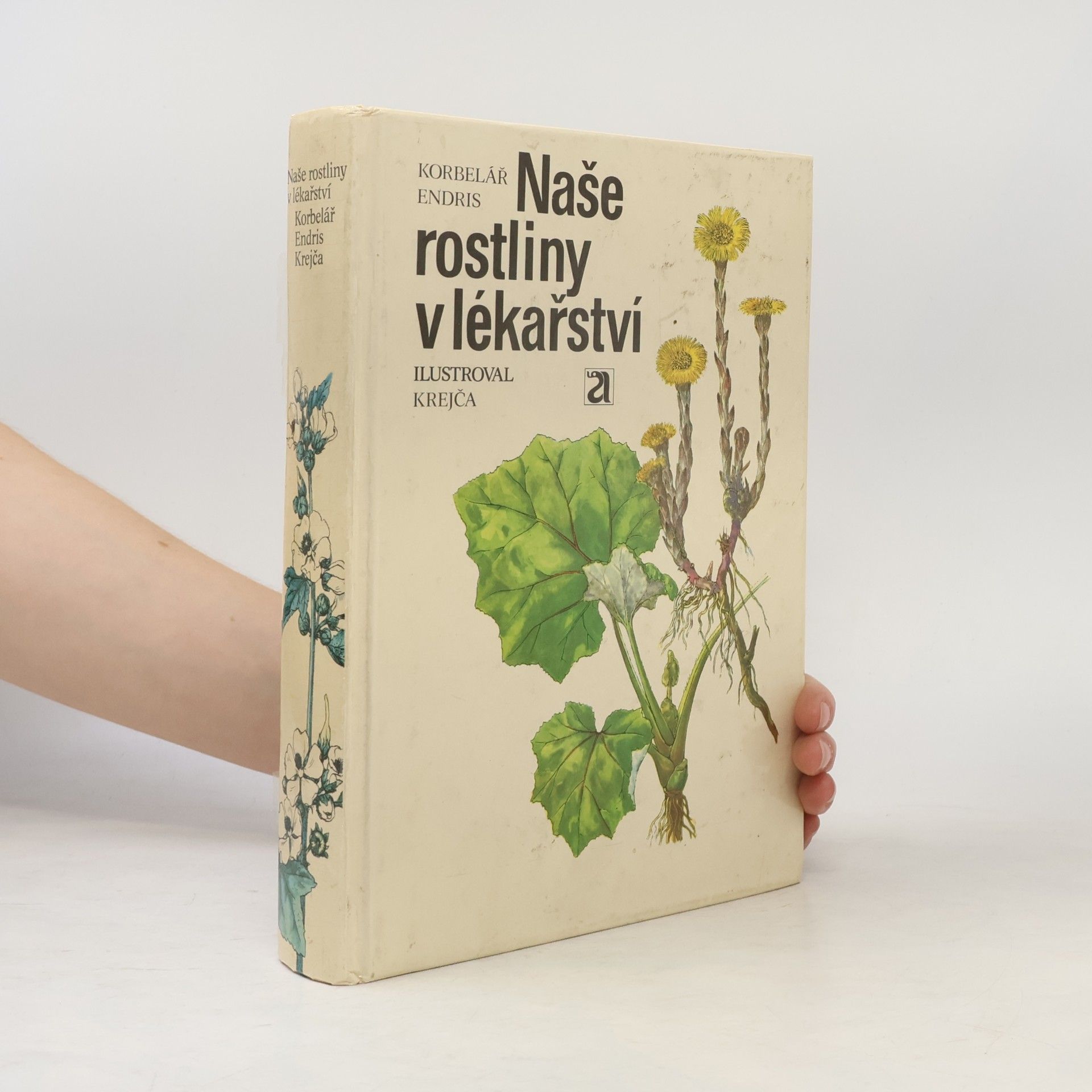 Naše rostliny v lékařství