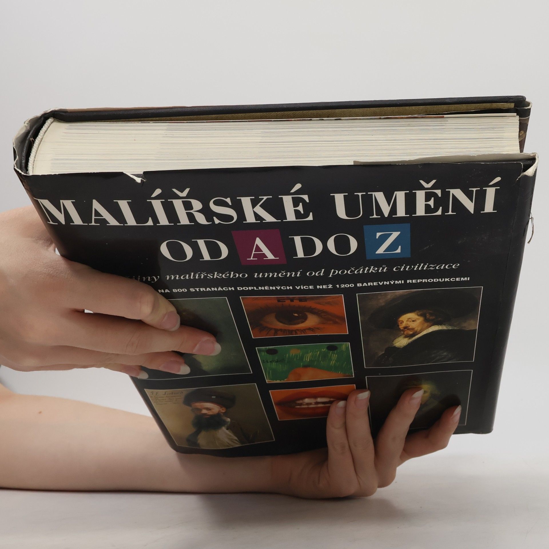 Naďa Benešová Malířské umění od A do Z. Dějiny malířského umění od počátků civilizace