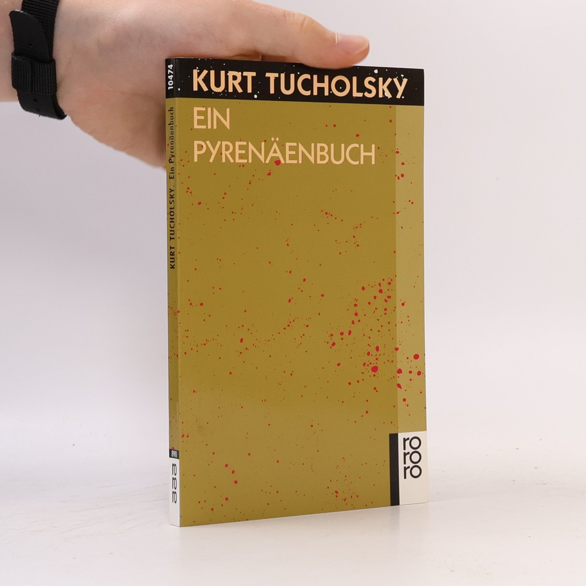 Kurt Tucholsky Ein Pyrenäenbuch