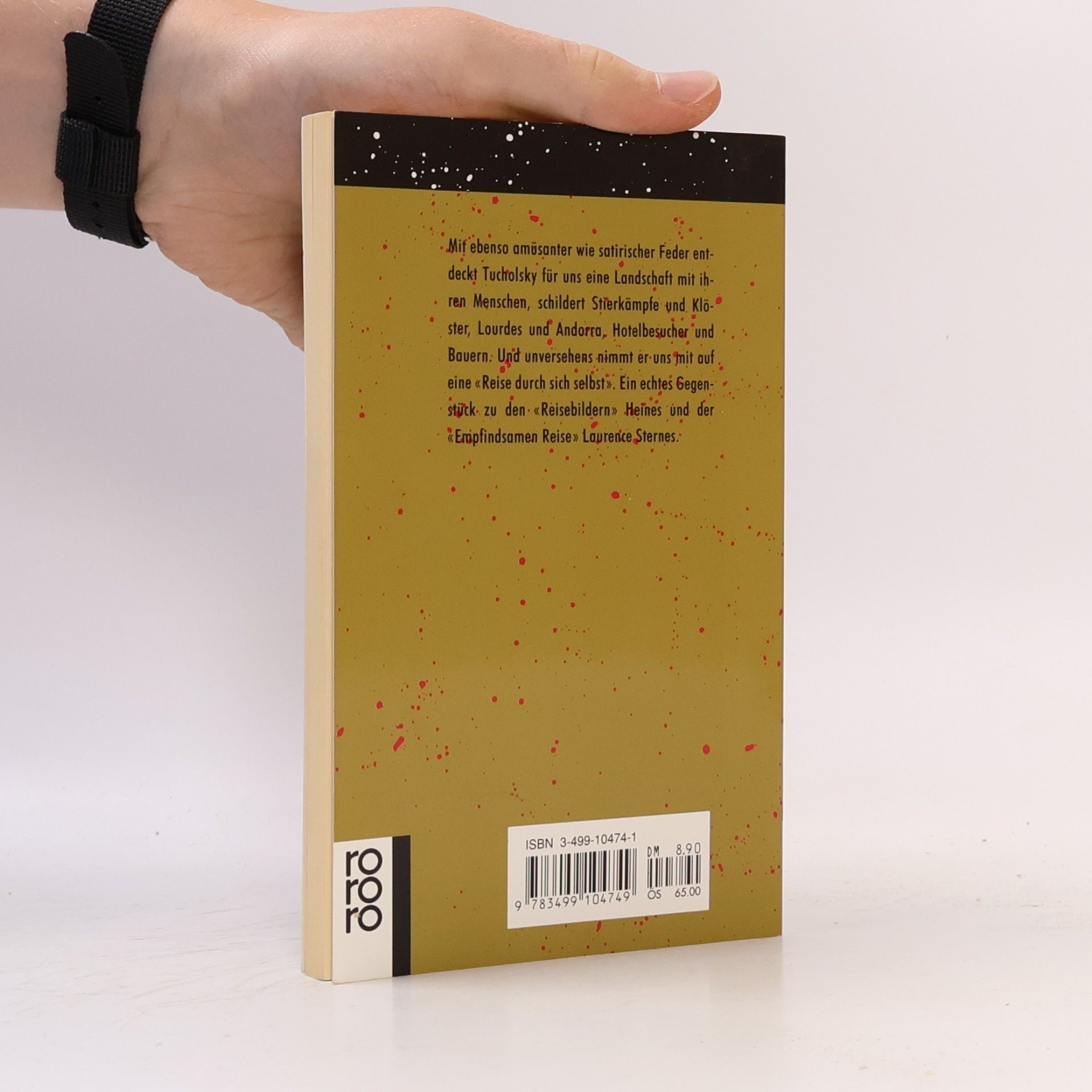 Kurt Tucholsky Ein Pyrenäenbuch