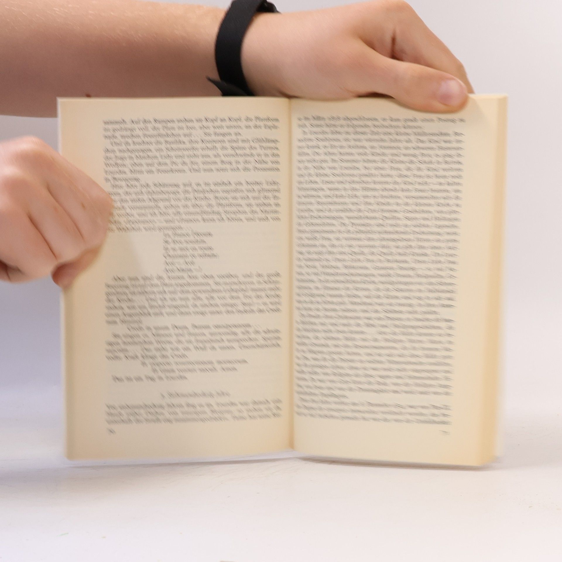 Kurt Tucholsky Ein Pyrenäenbuch