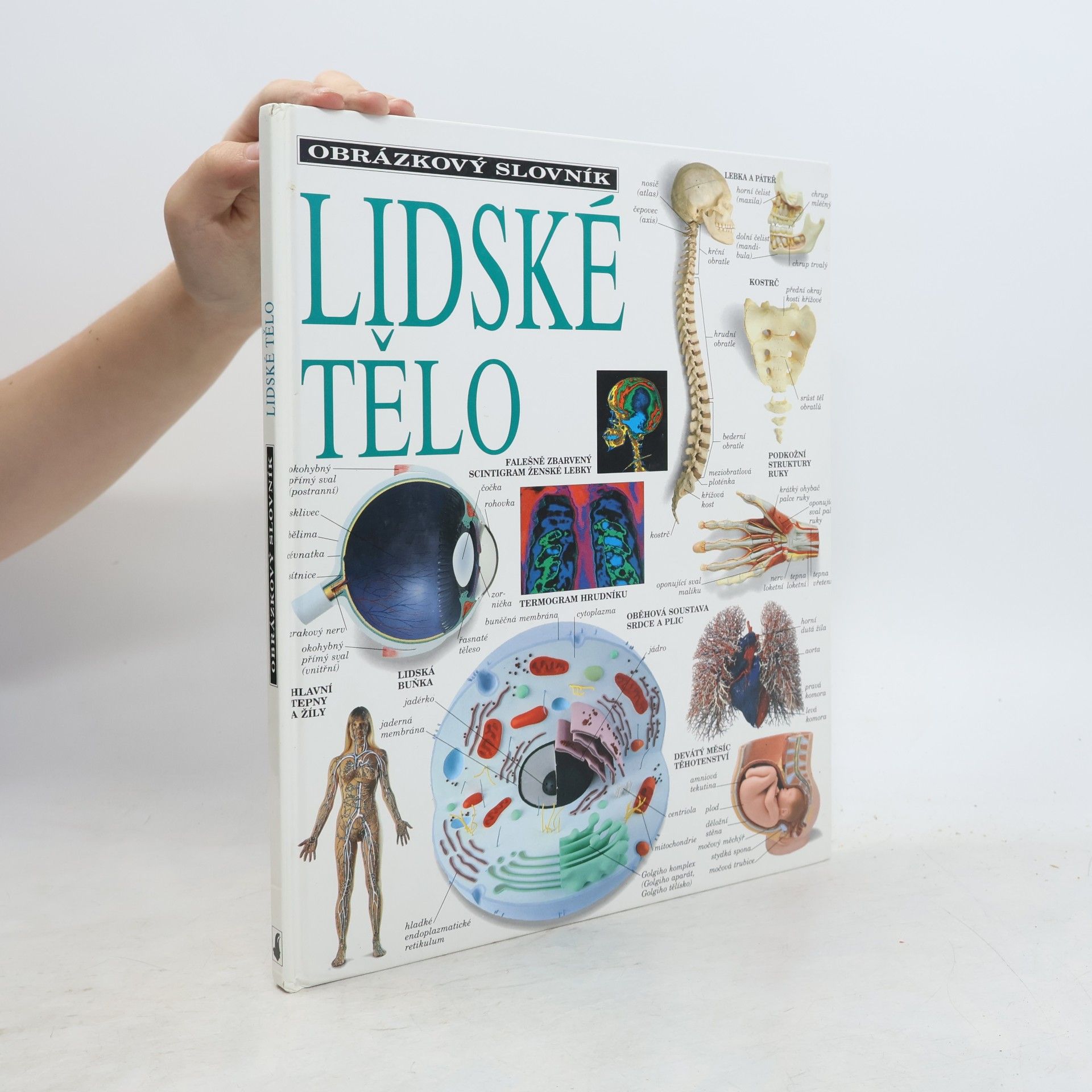Various authors Lidské tělo