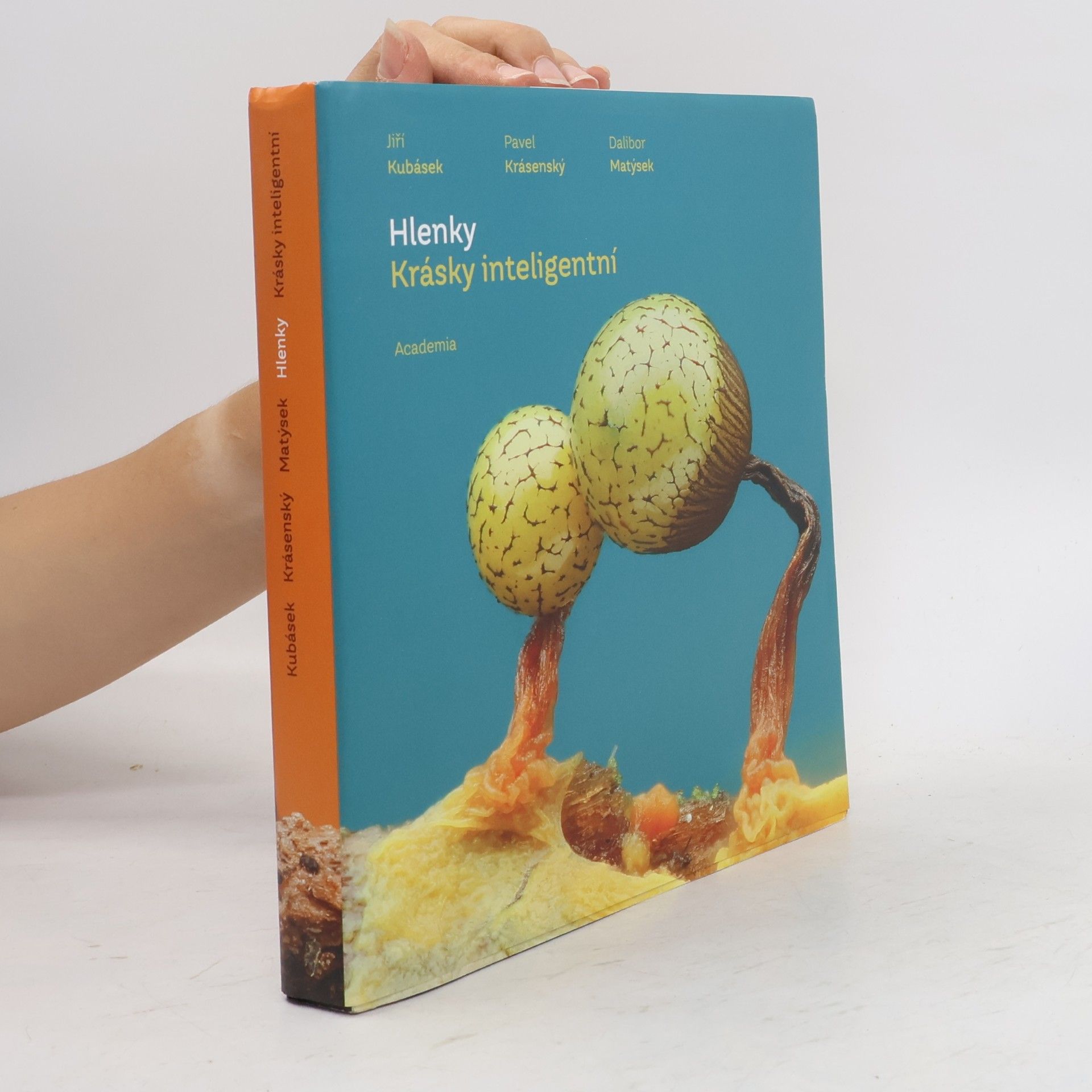 Dalibor Matýsek Hlenky: Krásky inteligentní