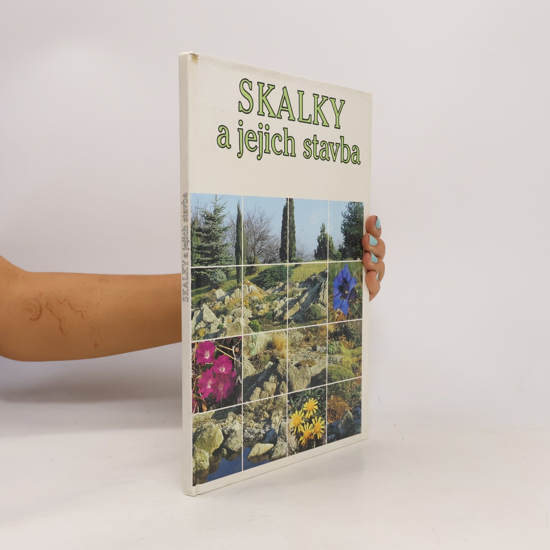 Ota Vlasák Skalky a jejich stavba