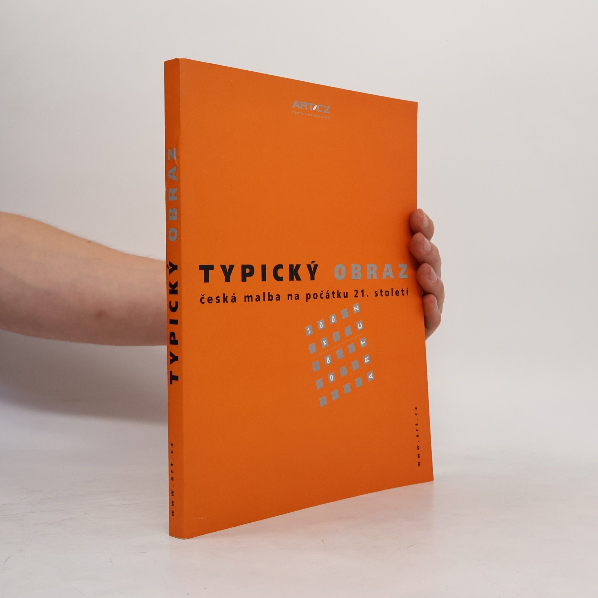 Autorenkollektiv Typický obraz. Česká malba na počátku 21. století