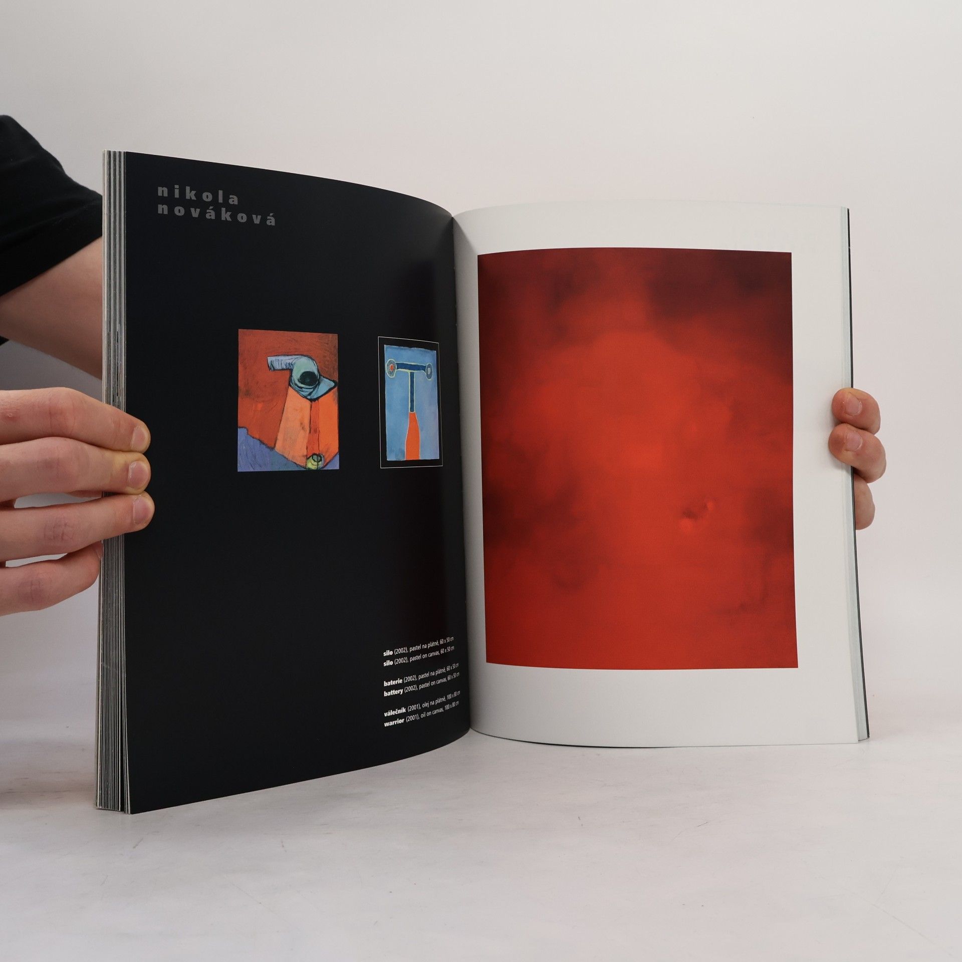 Autorenkollektiv Typický obraz. Česká malba na počátku 21. století