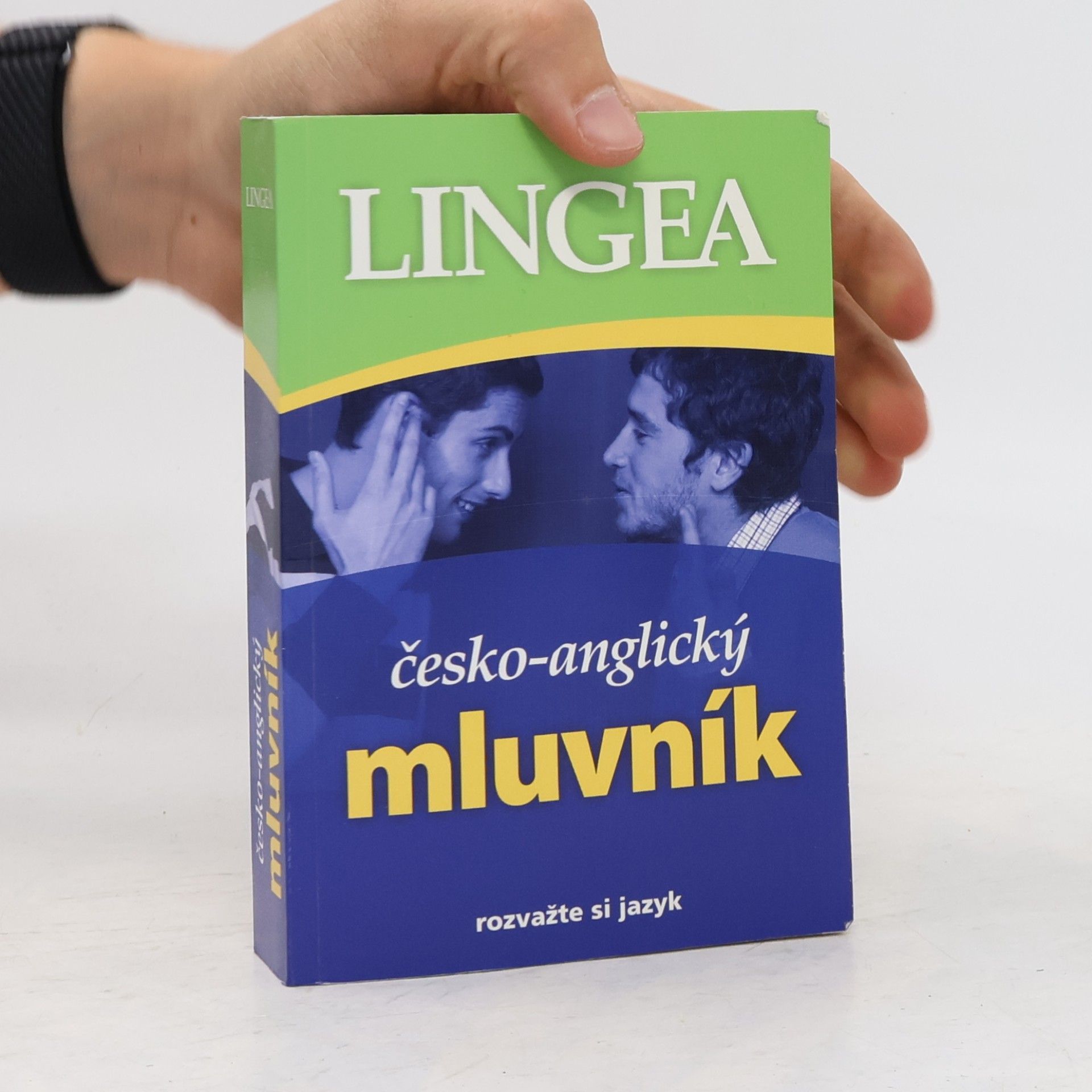 Autorenkollektiv Česko-anglický mluvník