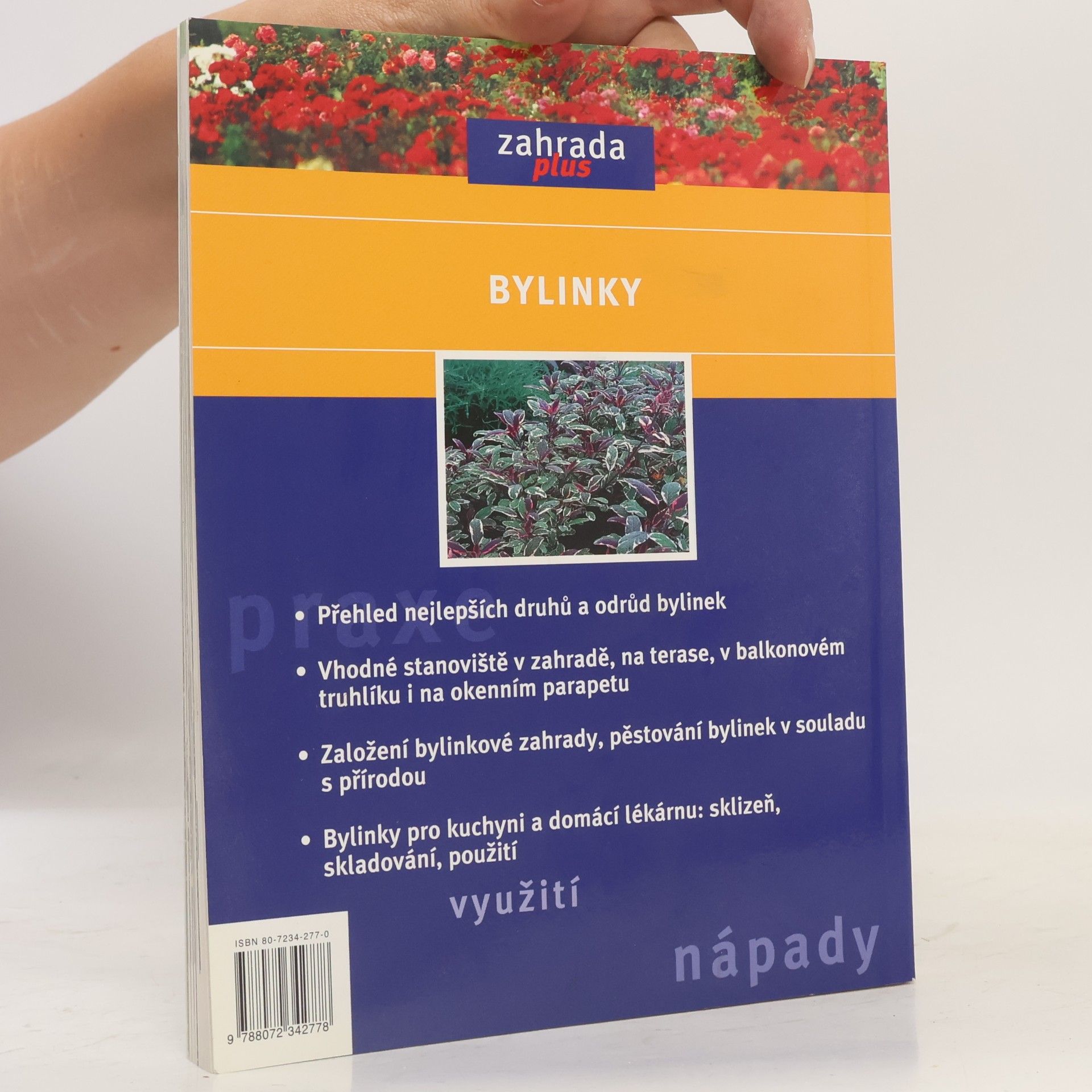 Marie-Luise Kreuter Bylinky - Nejlepší druhy a odrůdy
