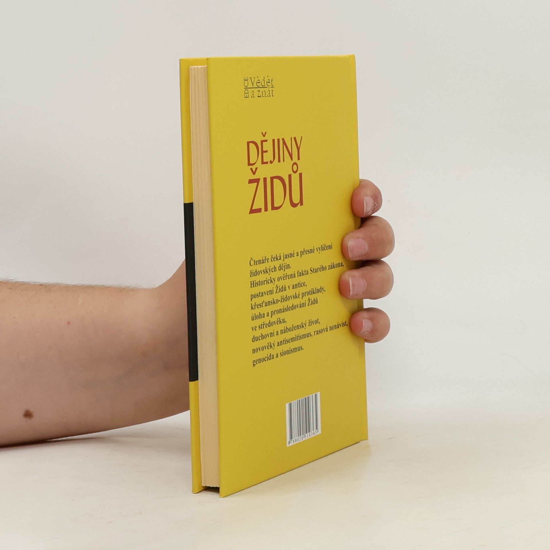 Kurt Schubert Dějiny Židů