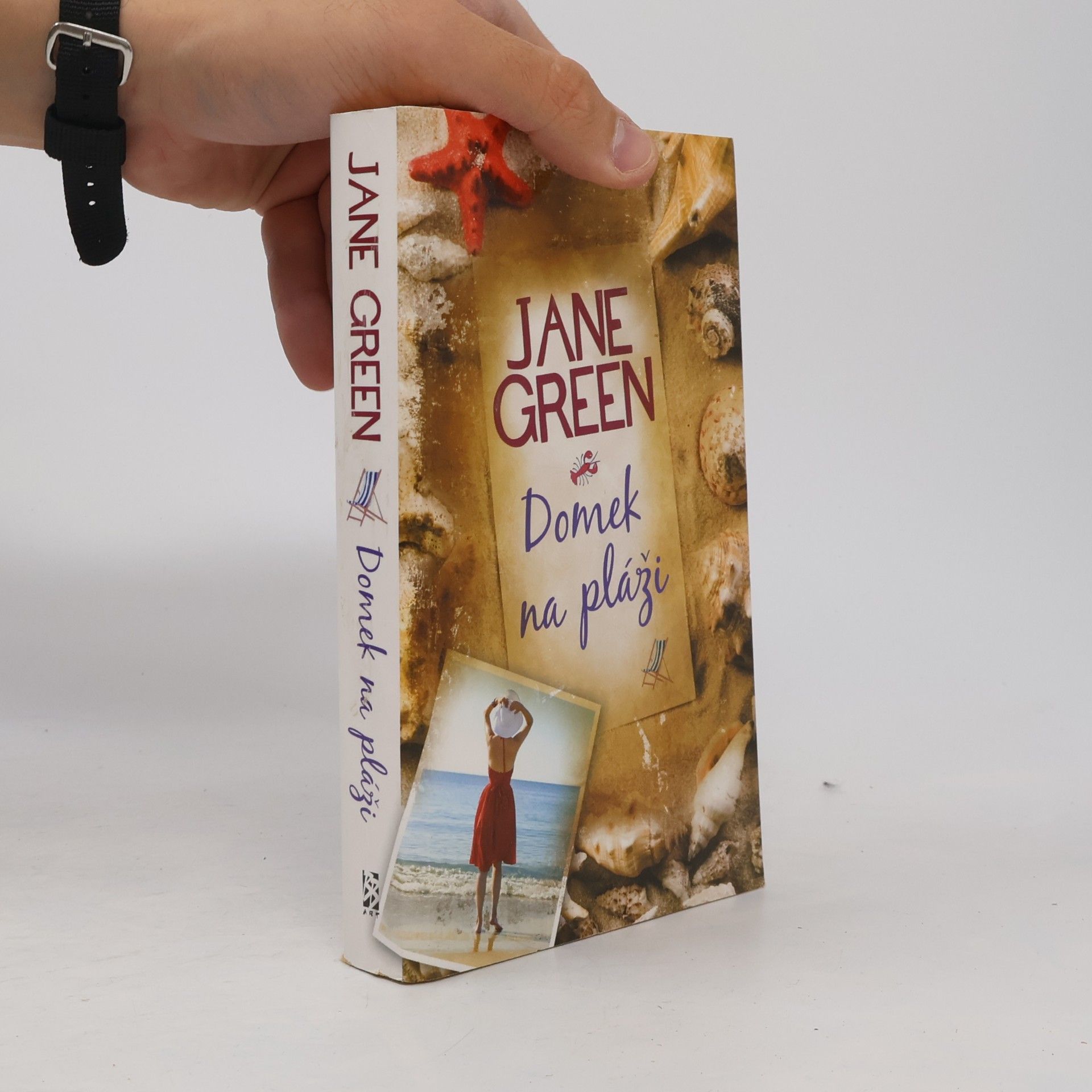 Jane Green Domek na pláži