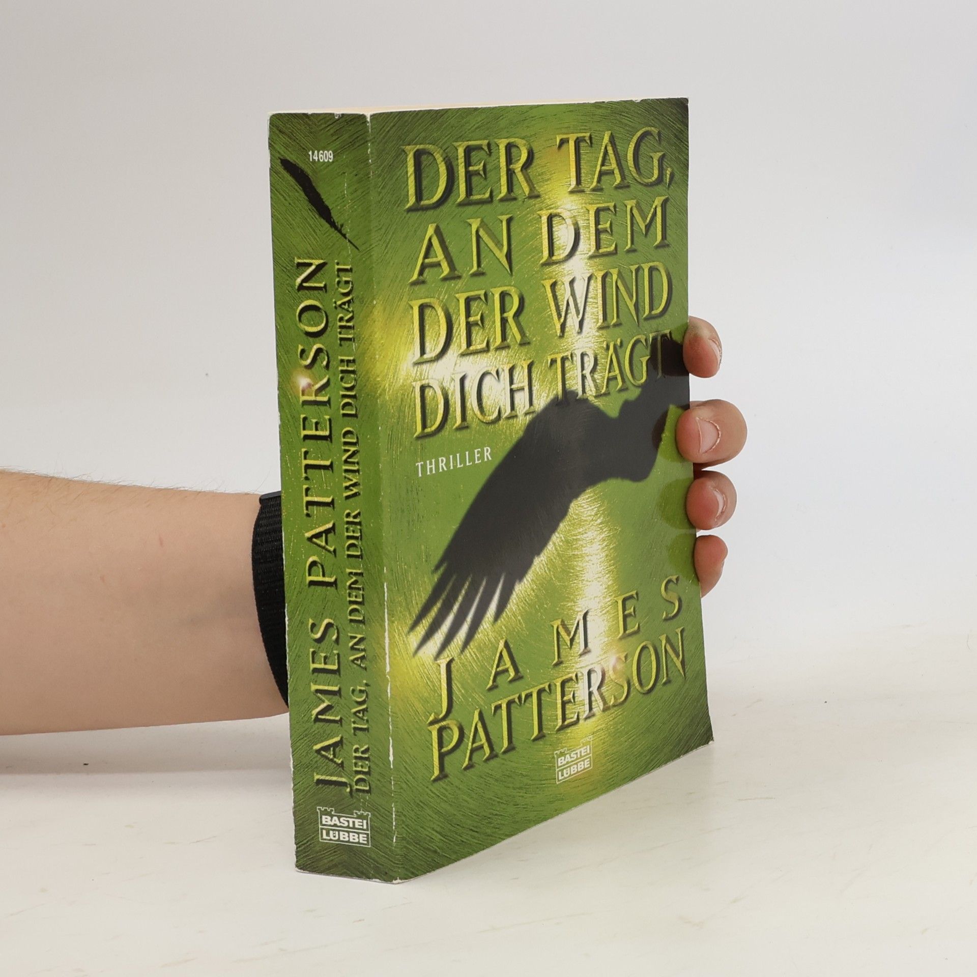 James Patterson Der Tag, an dem der Wind dich trägt