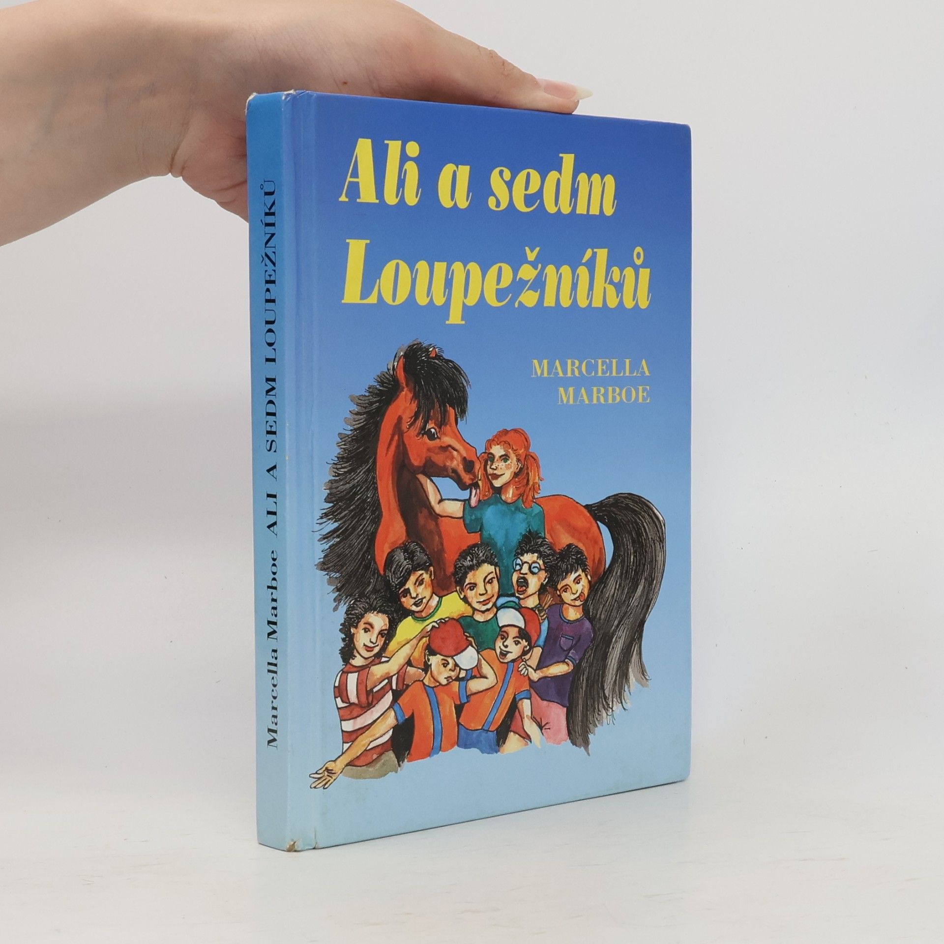 Marcella Marboe Ali a sedm loupežníků