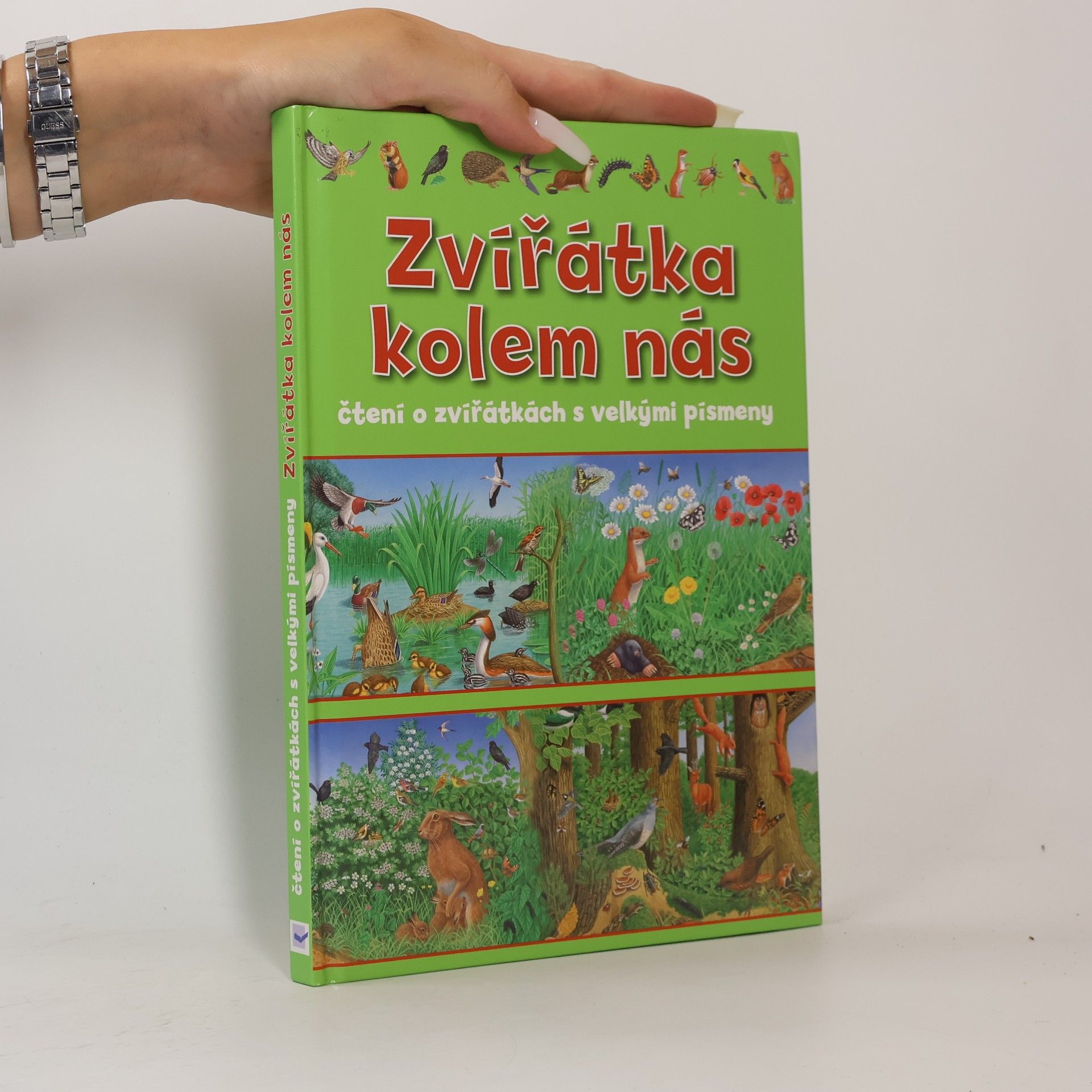 Various authors Zvířátka kolem nás : čtení o zvířátkách s velkými písmeny