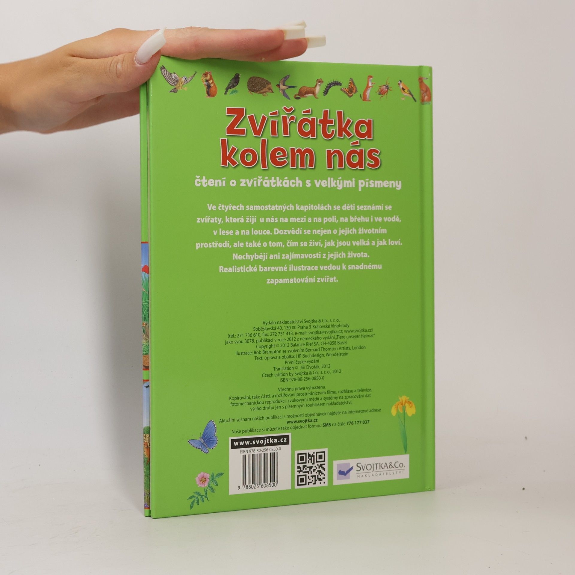Autorenkollektiv Zvířátka kolem nás : čtení o zvířátkách s velkými písmeny