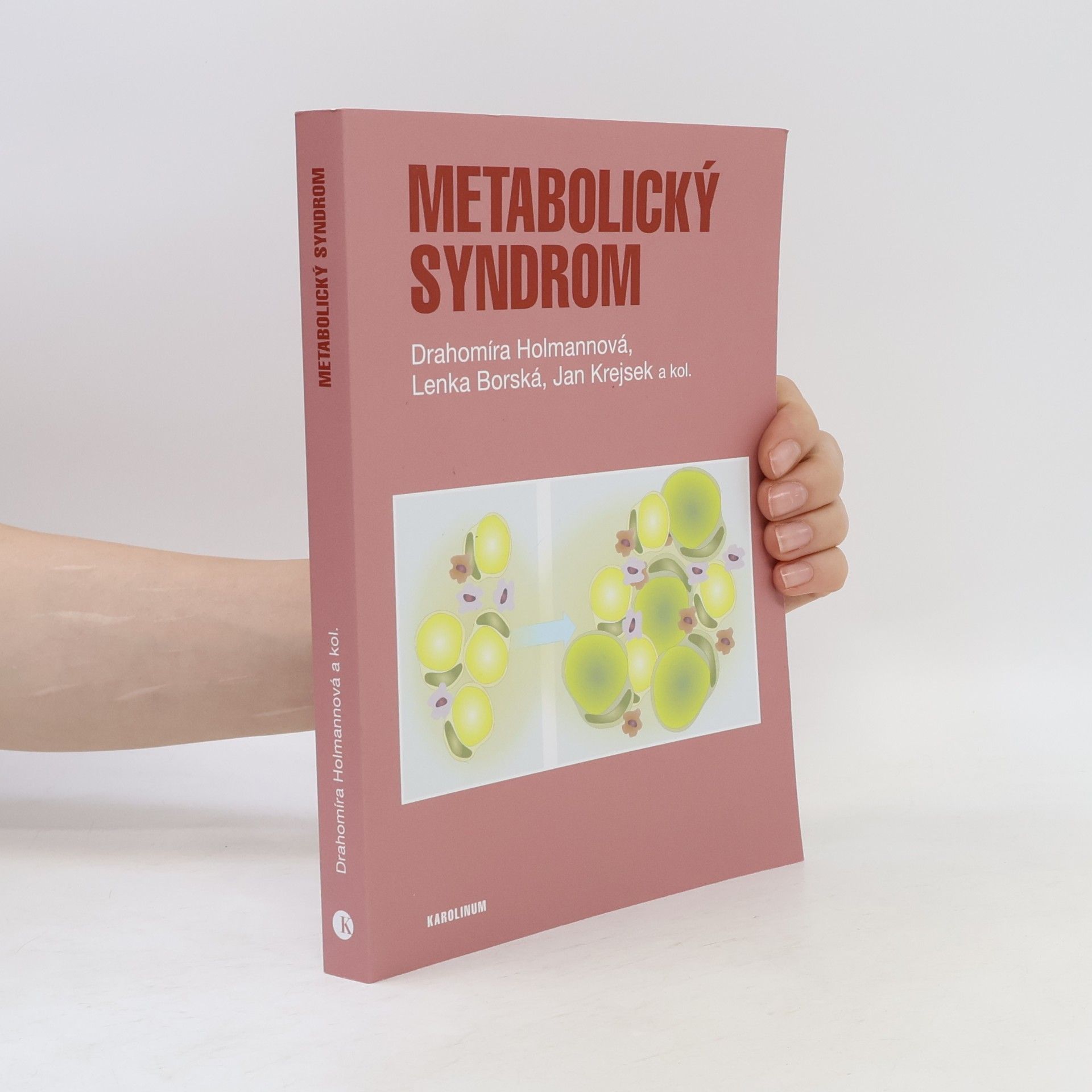 Metabolický syndrom Imunopatologické procesy a komorbidity