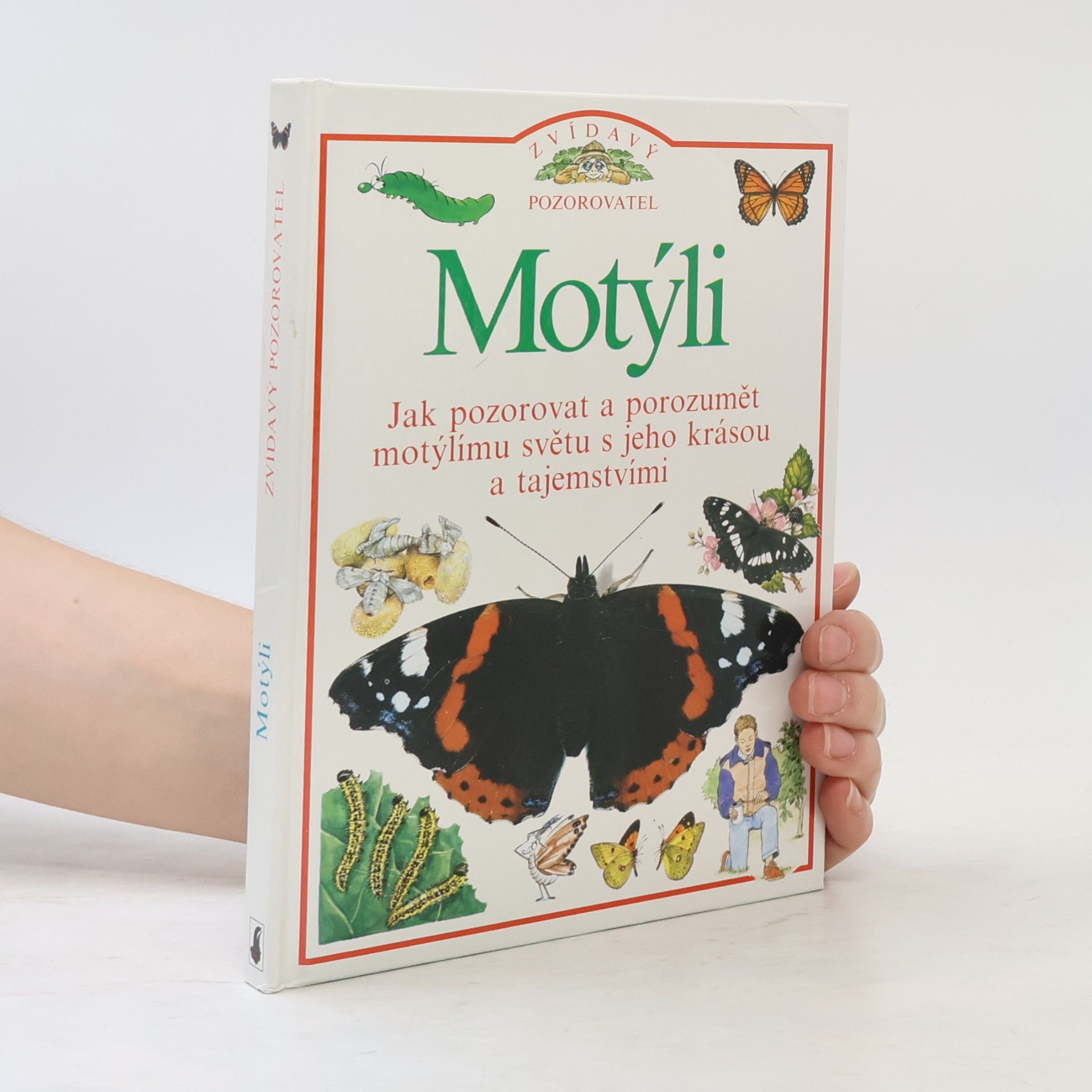 Autorenkollektiv Motýli